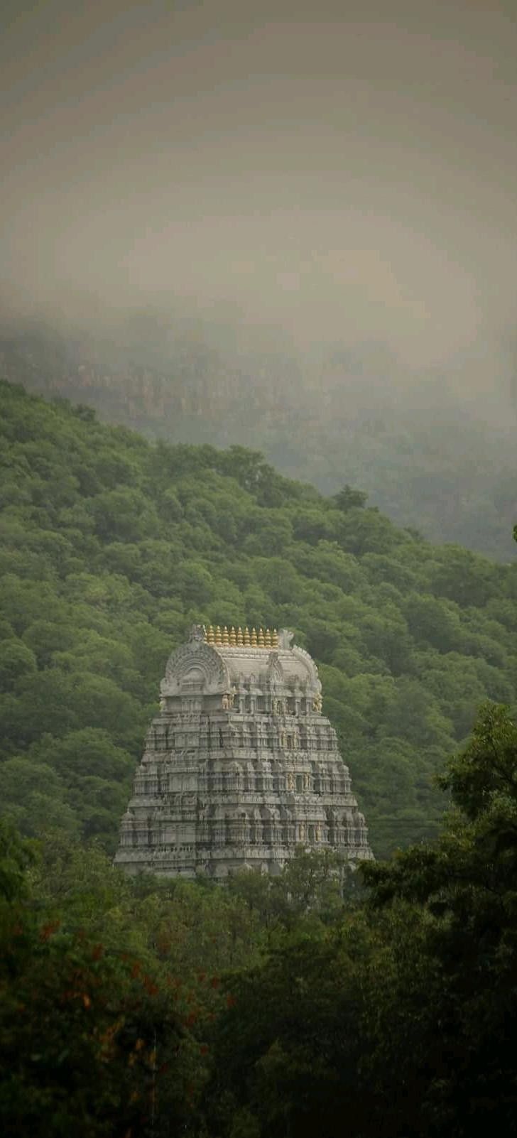 728x1602 Tirumala