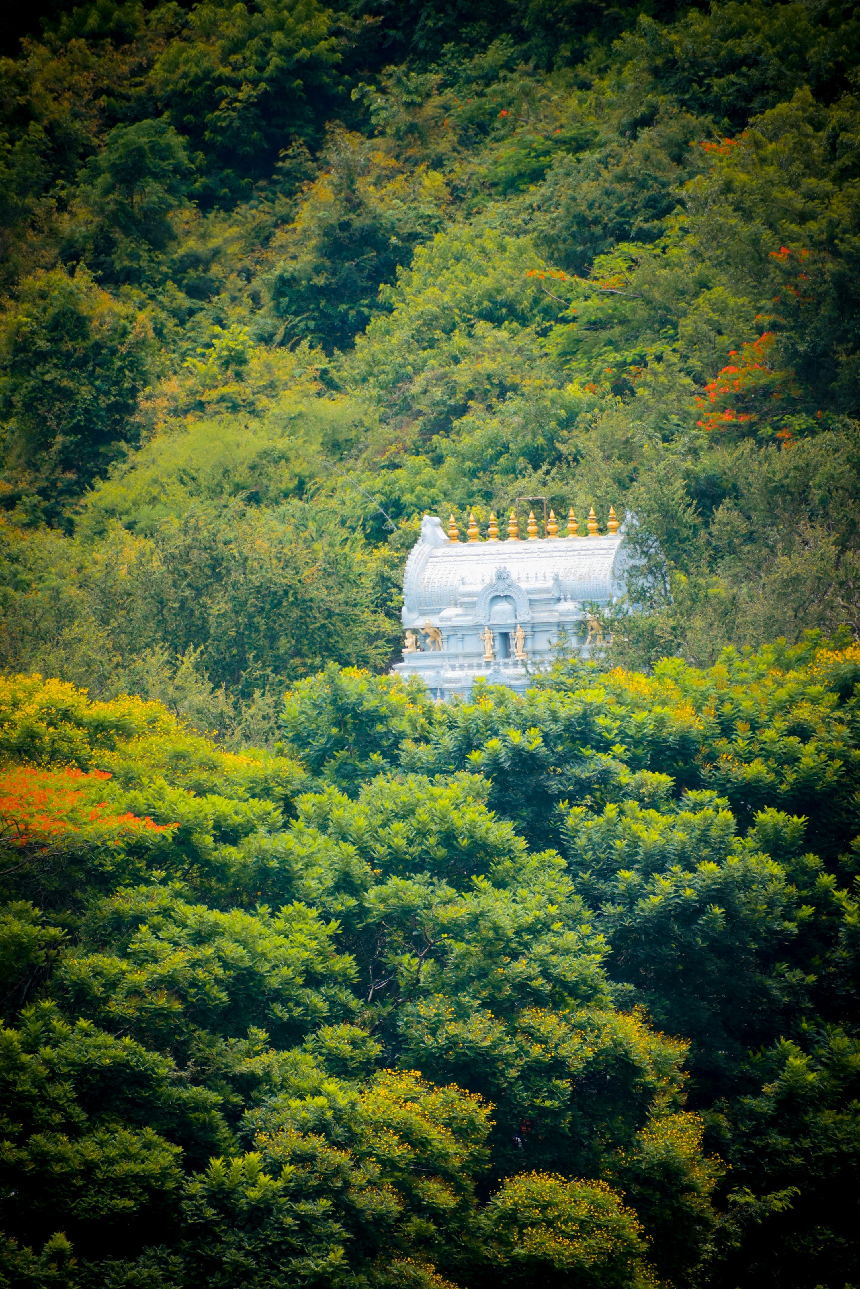 3000x4496 Tirumala Picture. Download Free Image