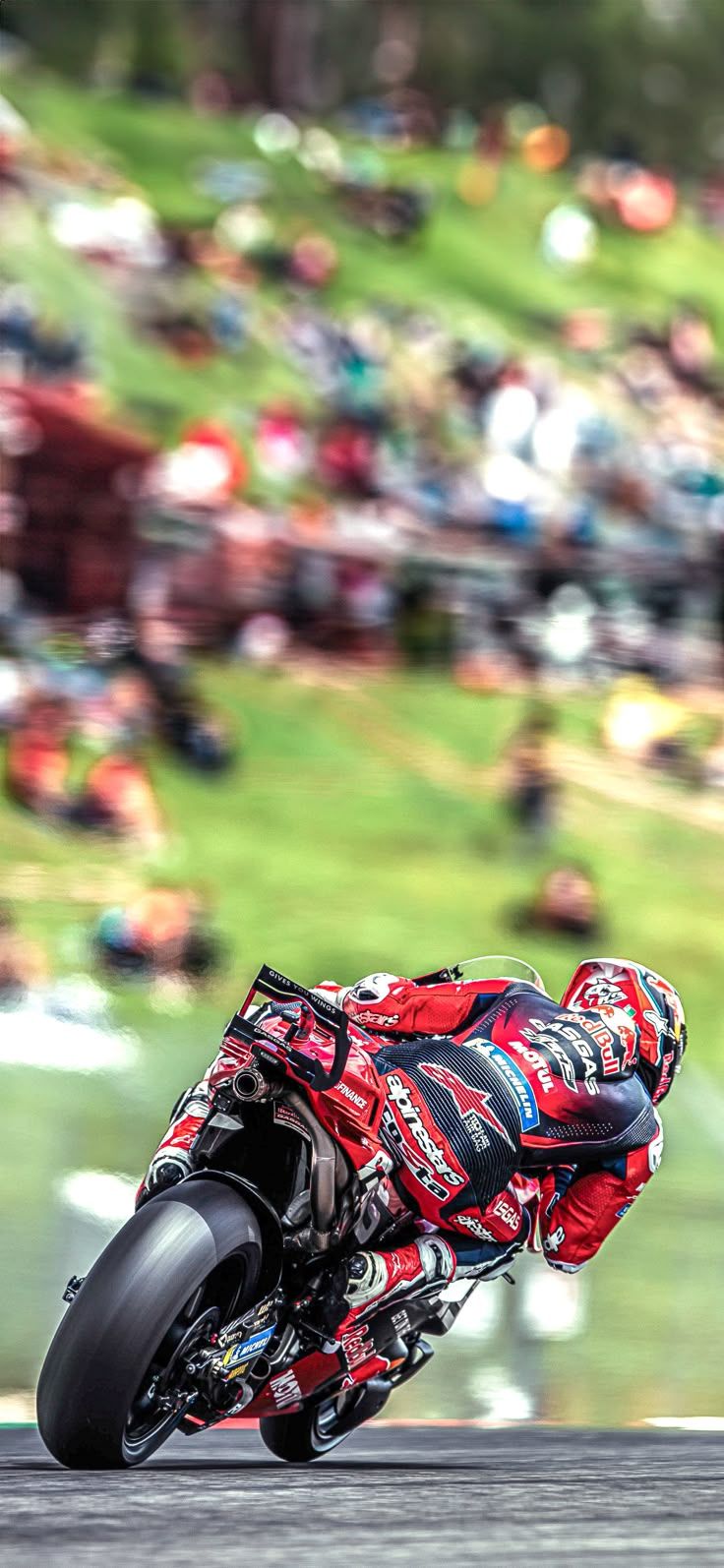 736x1594 Pedro Acosta Red Bull GasGas Tech3 Italian Grand Prix 2024 MotoGP Wallpaper