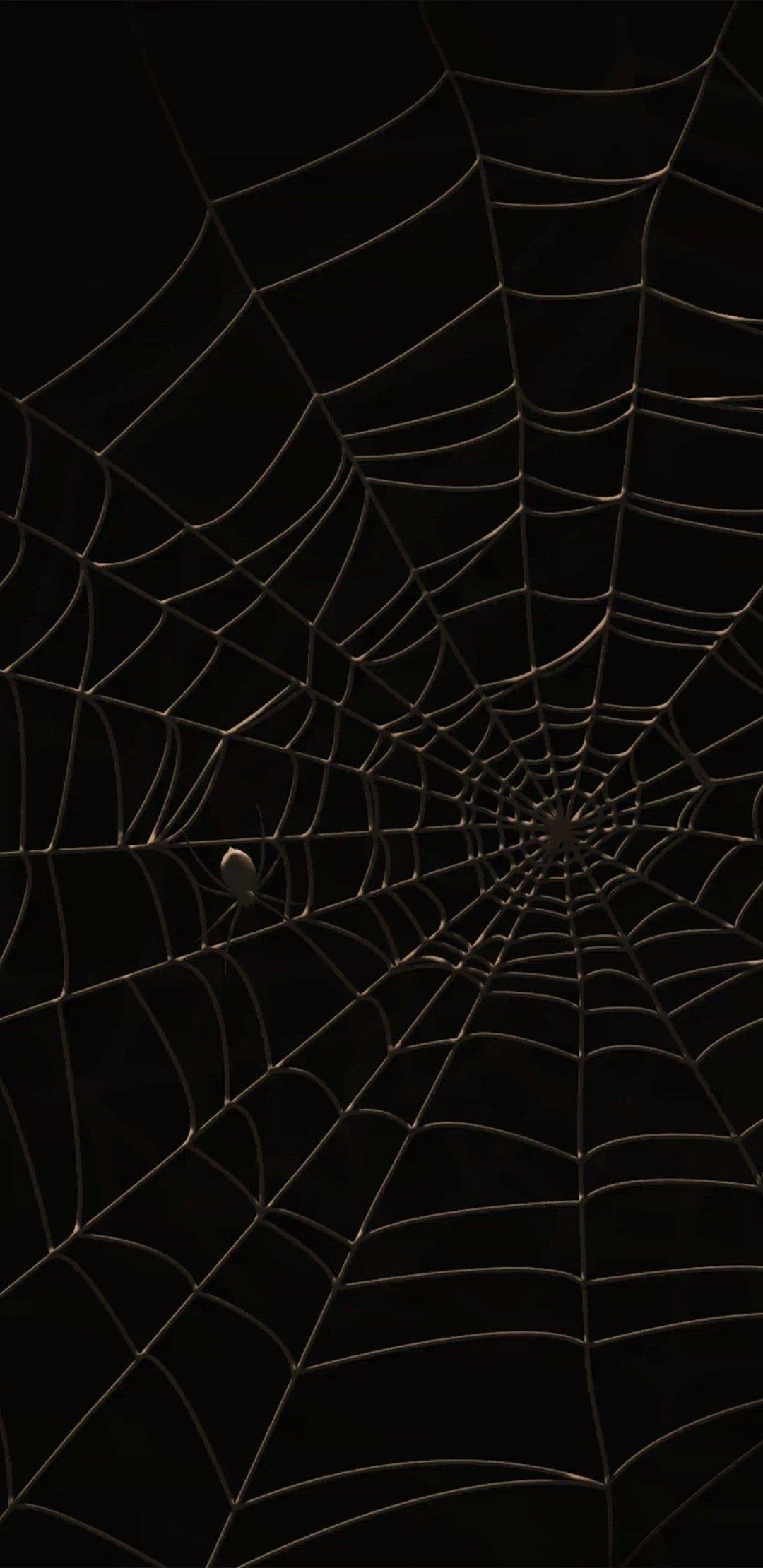 spider web iphone wallpaper
