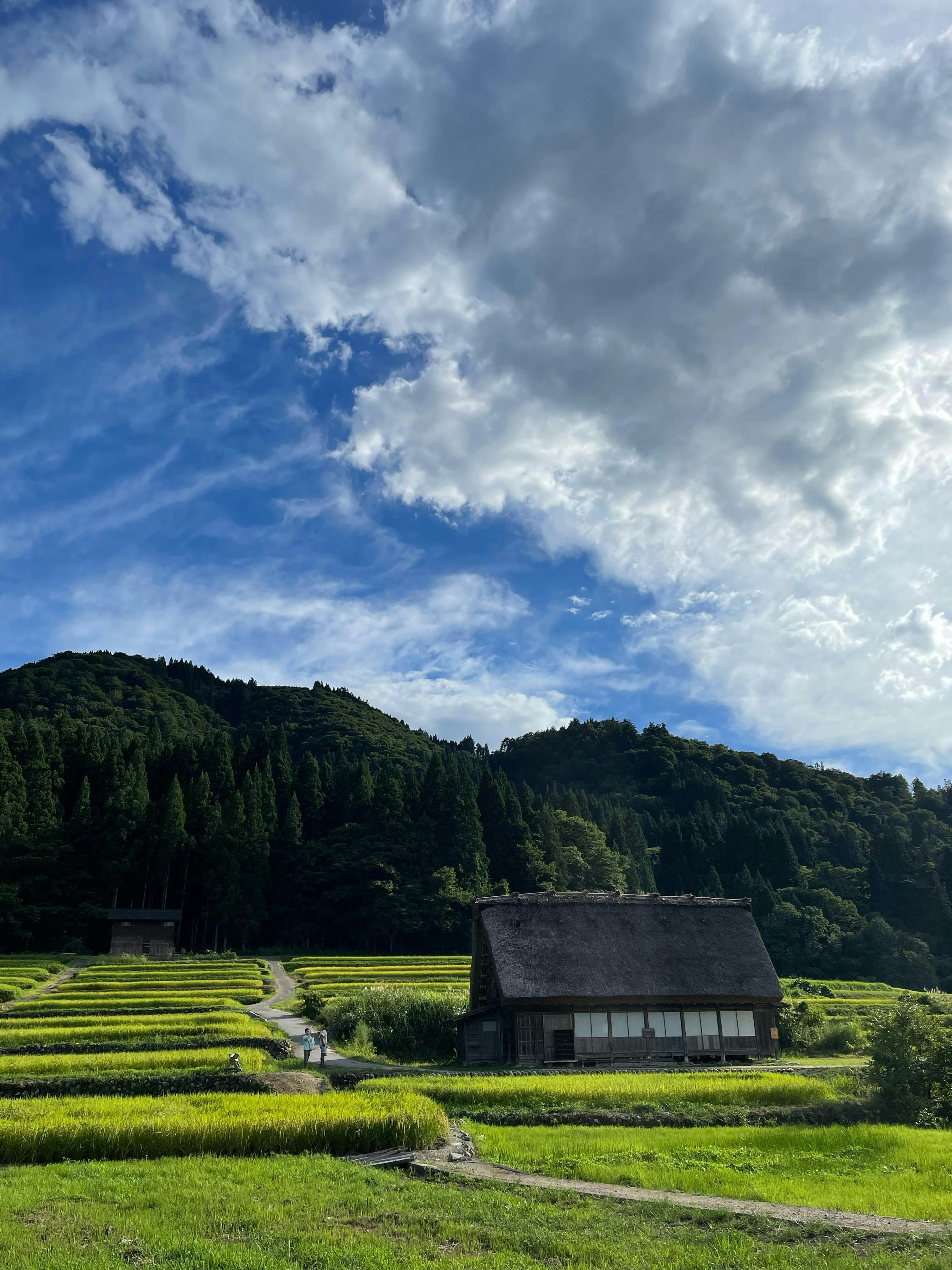 Rural Area Wallpapers - Top Free Rural Area Backgrounds - WallpaperAccess