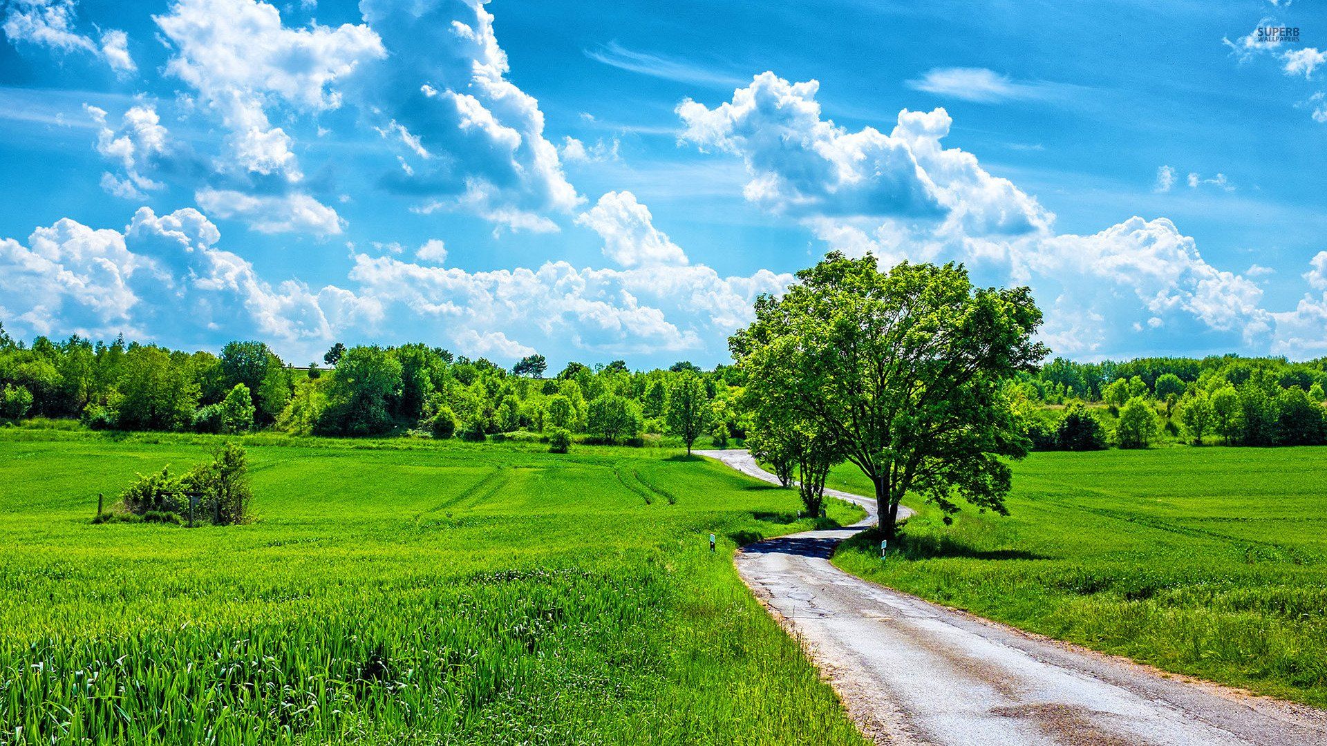 1920x1080 Serene Nature HD: Rolling Fields Under Vibrant Skiesx1080