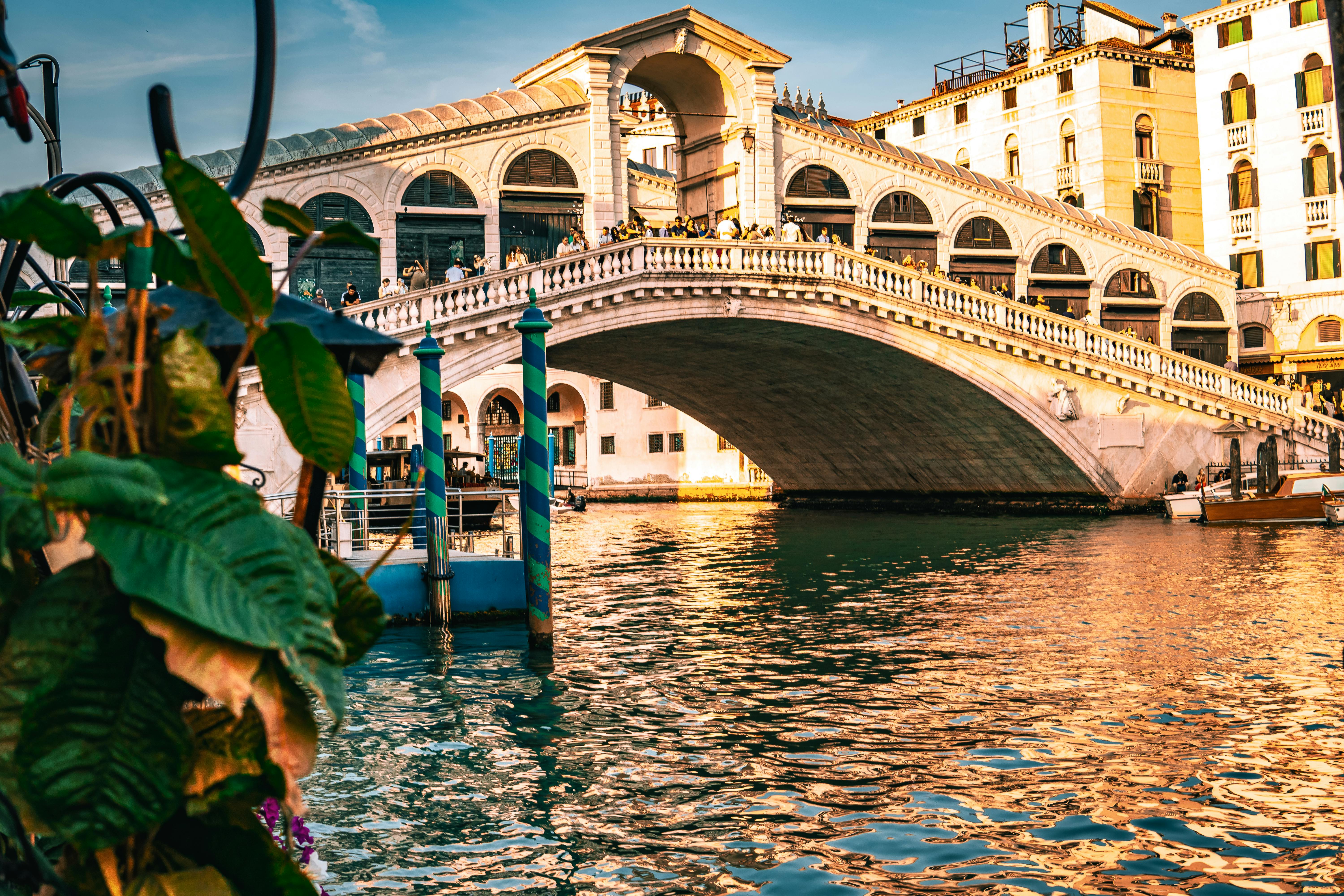 6000x4000 Rialto Bridge Photo, Download The BEST Free Rialto Bridge & HD Image