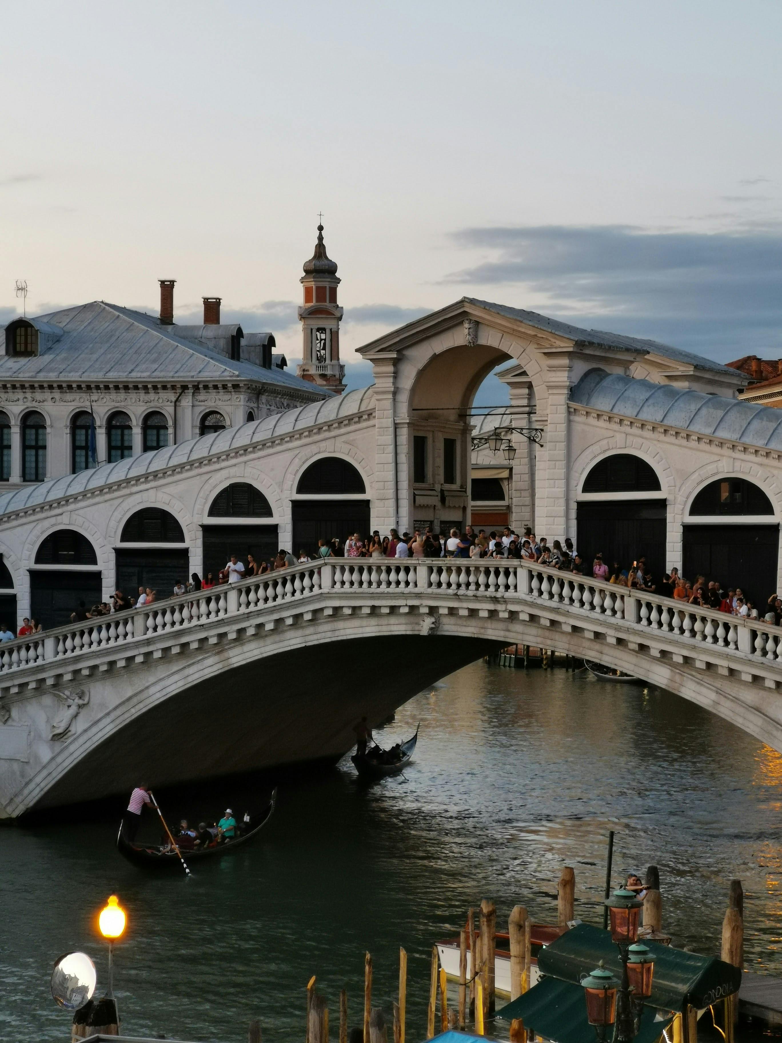 2736x3648 Rialto Bridge Photo, Download The BEST Free Rialto Bridge & HD Image