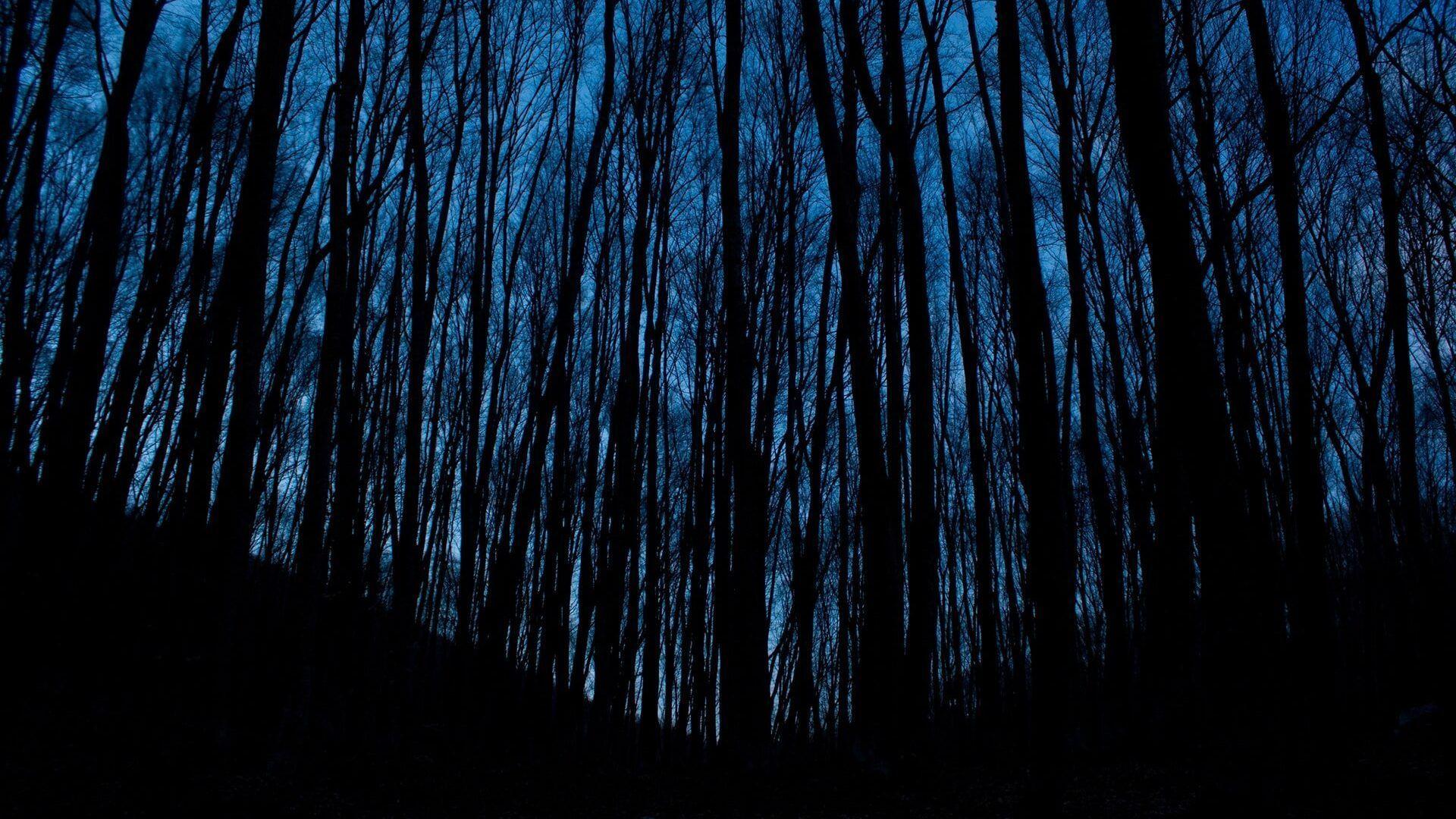 1920x1080 Navy Blue Aesthetic Wallpaper