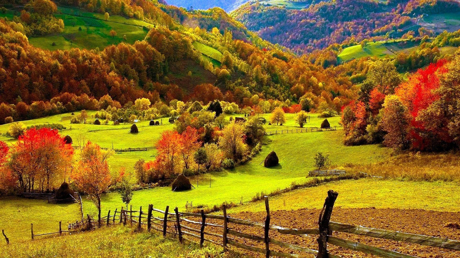 1920x1080 Fall Drops Vintage Style Photography Wallpaper View 1280x960PX