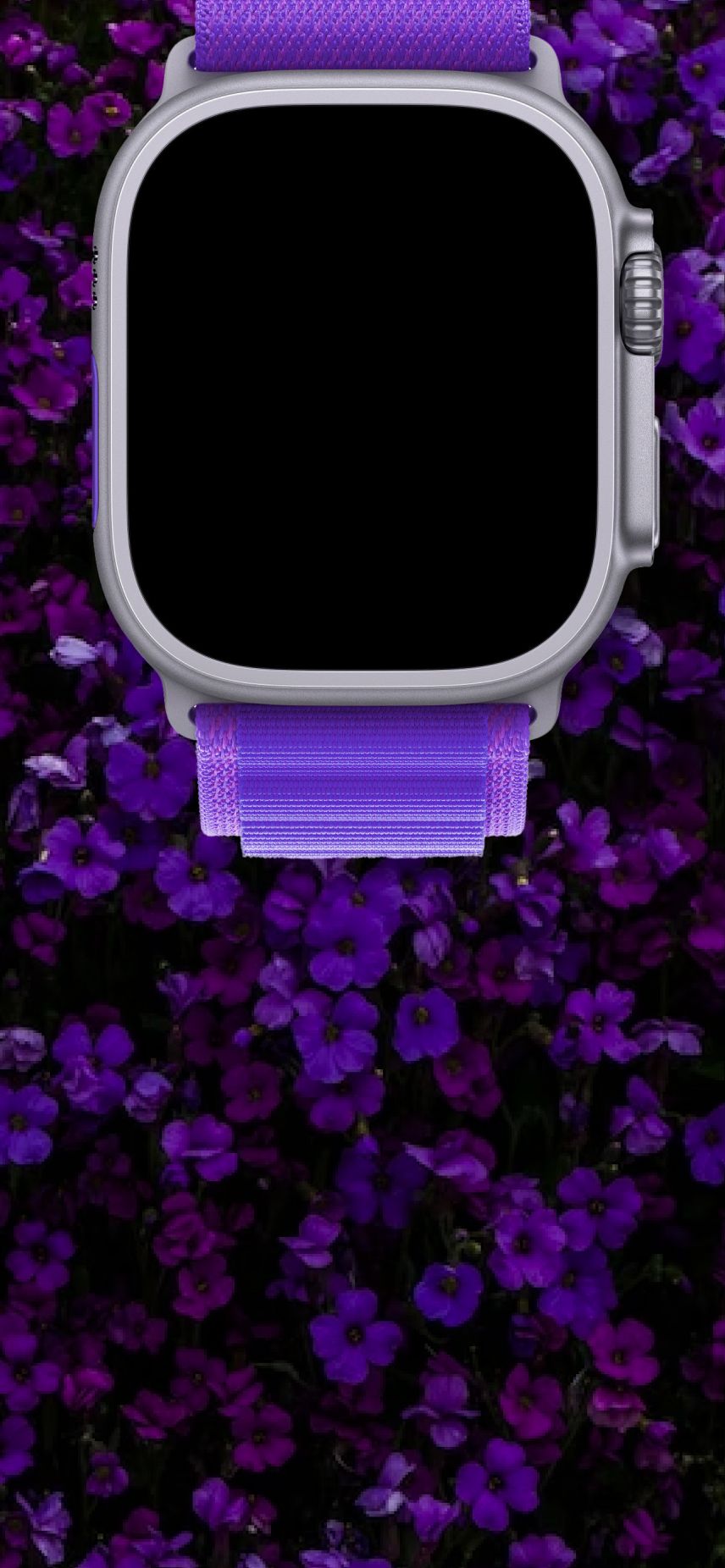 856x1852 Apple Watch Chronograph wallpaper for iPhone