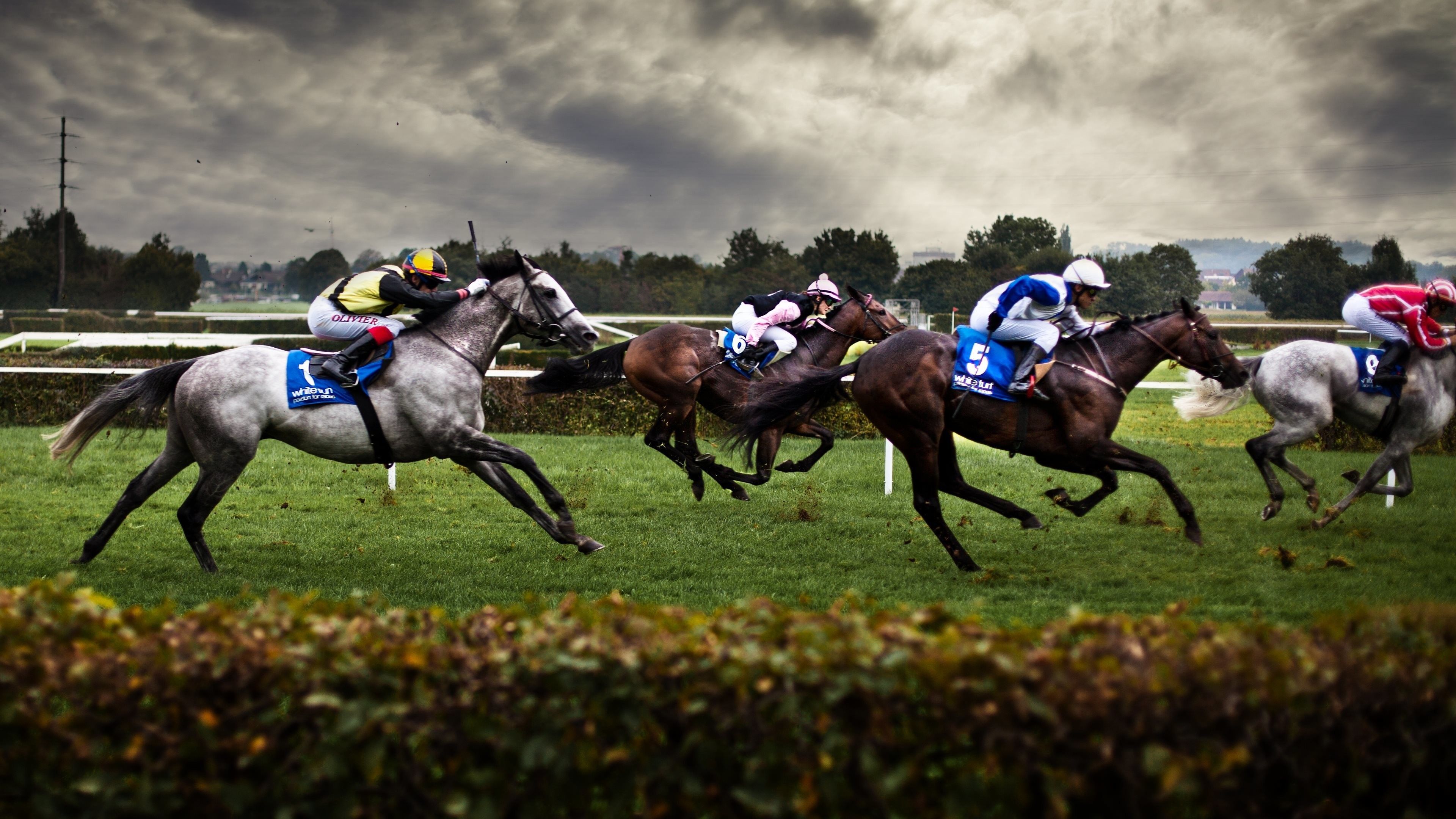 3840x2160 Kentucky Derby Wallpaper