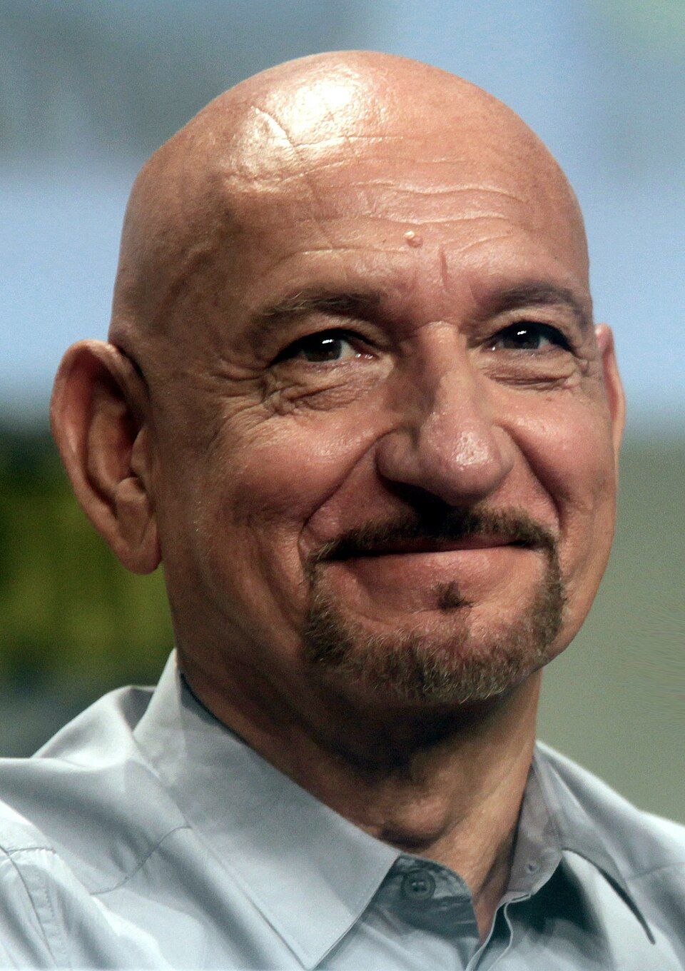 960x1360 Ben Kingsley