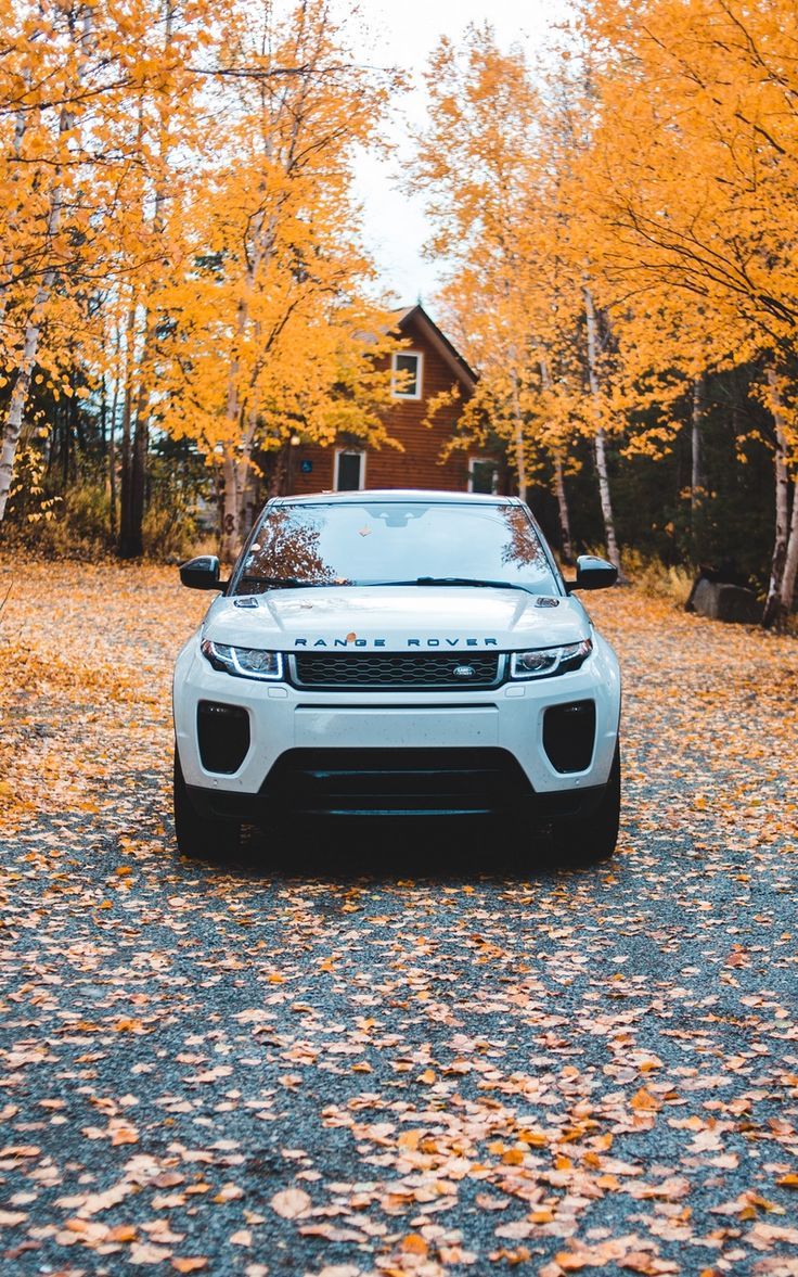 736x1177 Wallpaper front view autumn range rover land rover suv