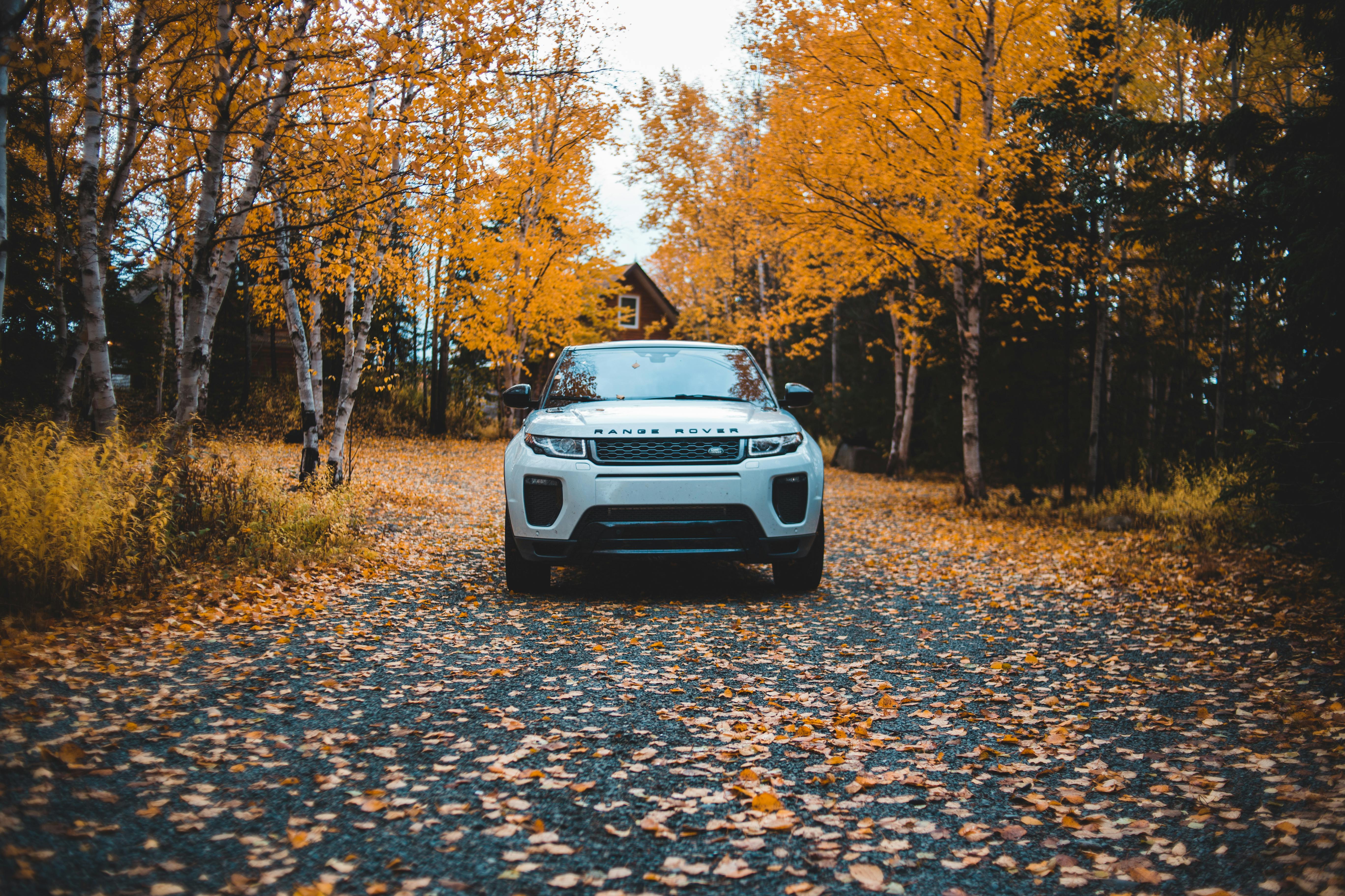 5472x3648 White Car Parked on Road Near Trees · Free