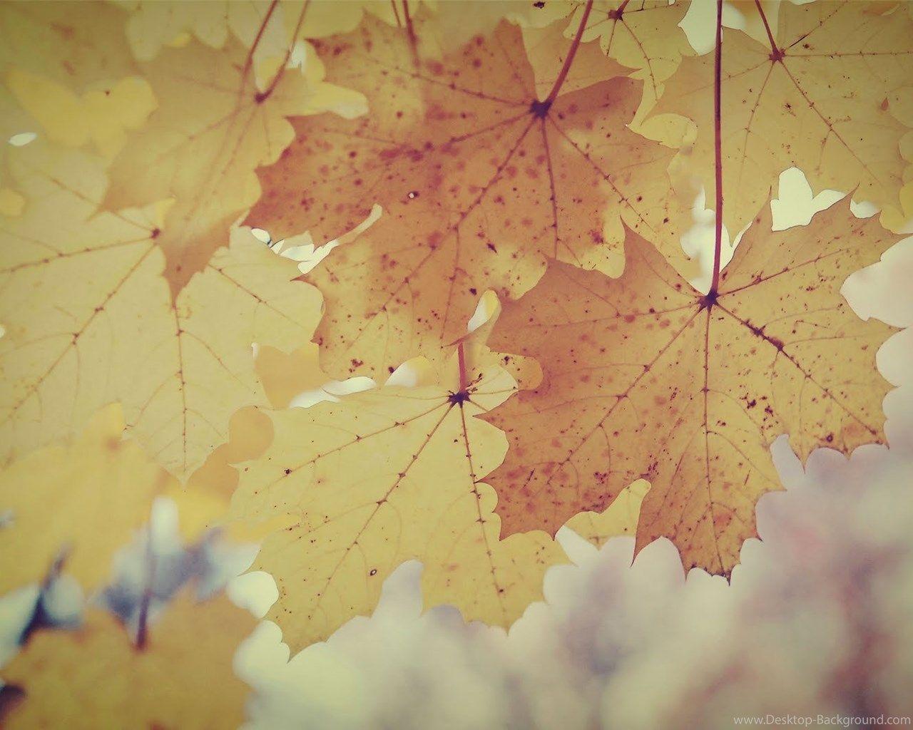 1280x1024 Vintage Fall Background With Quotes. QuotesGram Desktop Background