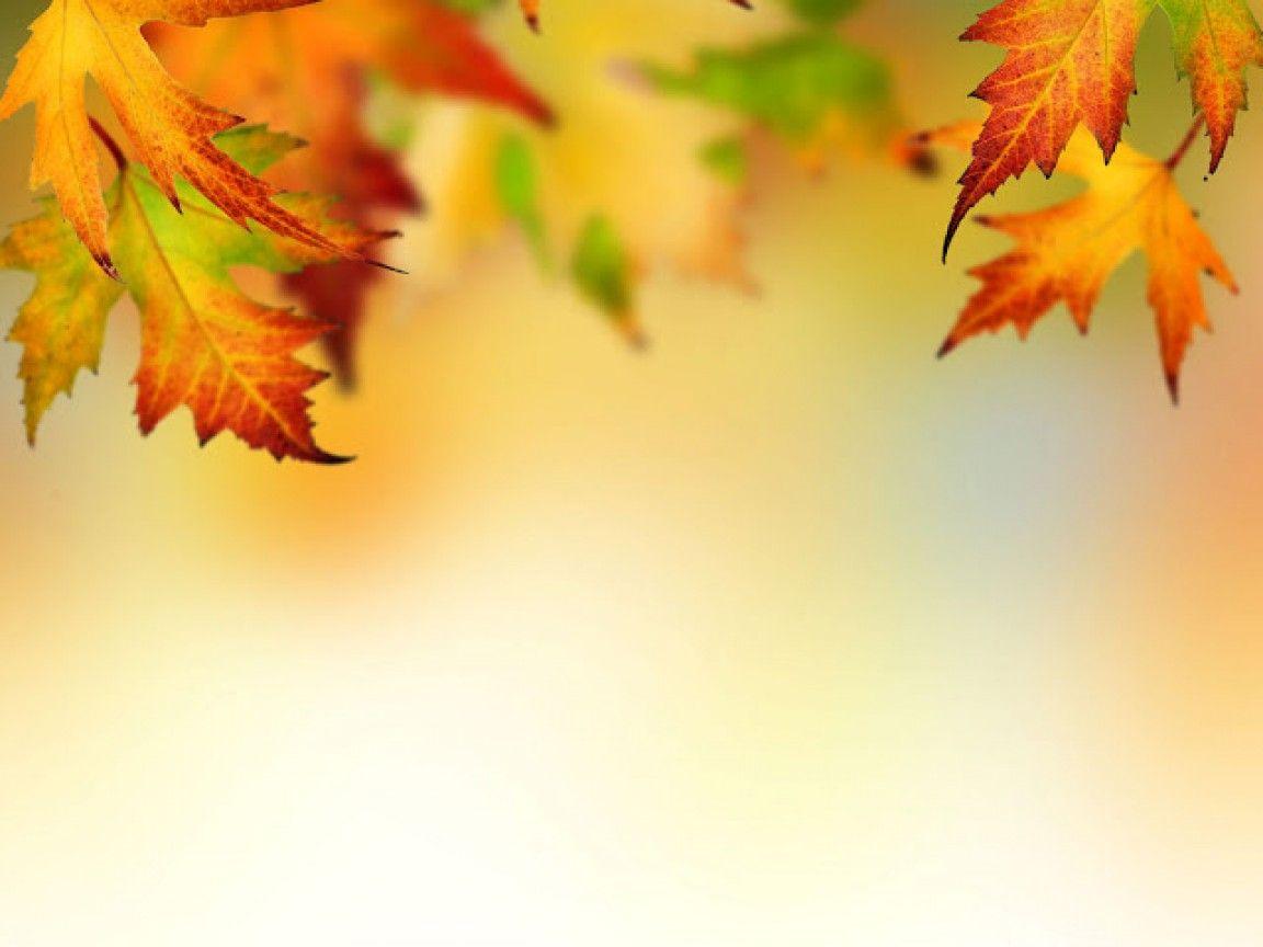 1152x864 Vintage Fall Border Papers