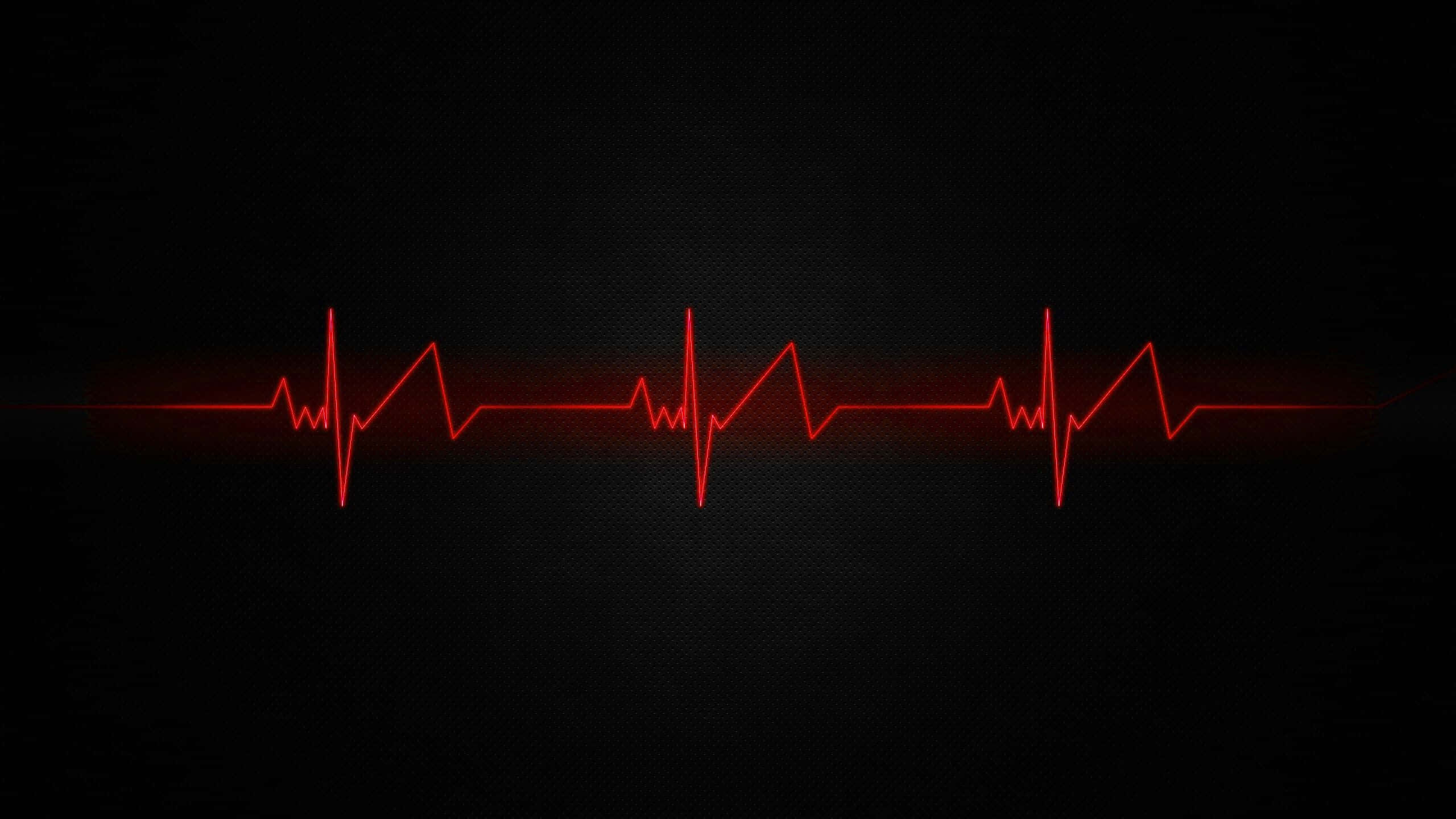 2560x1440 Download Monitor Your Heart Rate and Stay Healthy Wallpaper