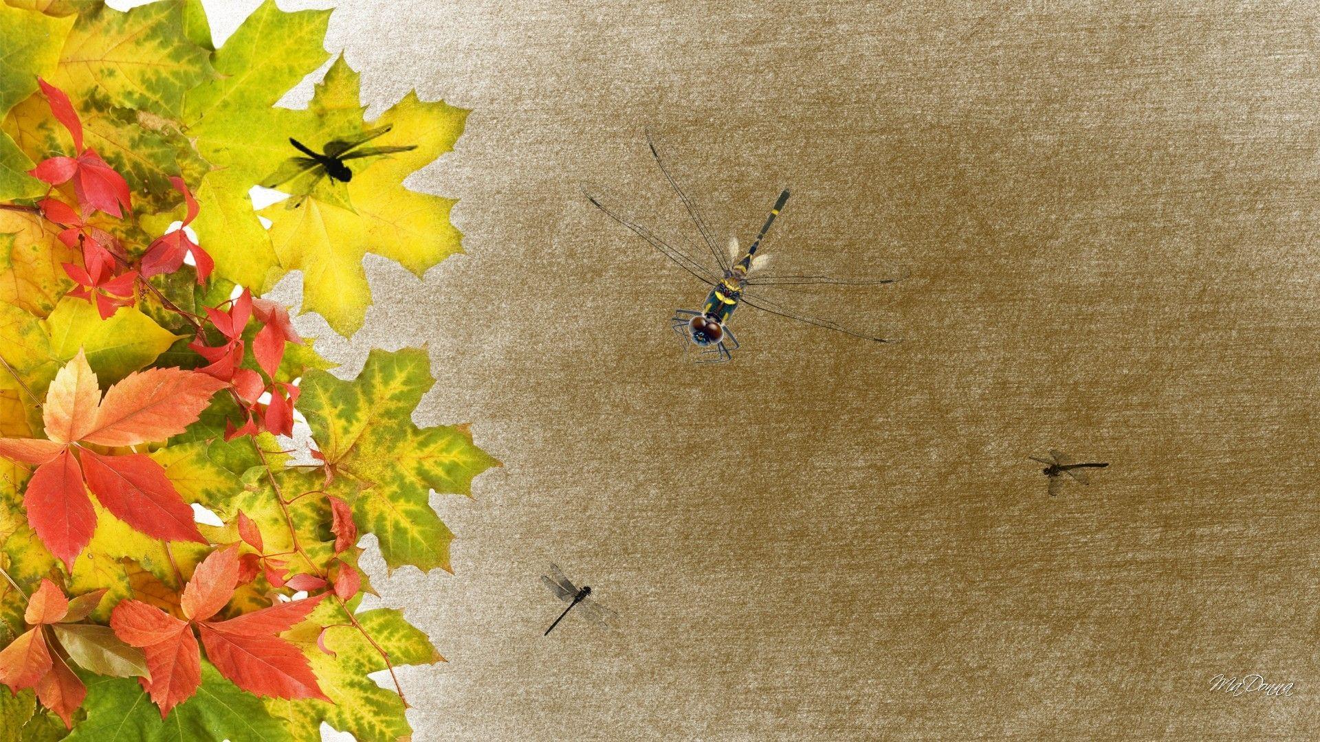 1920x1080 Forces of Nature: Vintage Tan Leaves Color Oak Dragonflies Fall