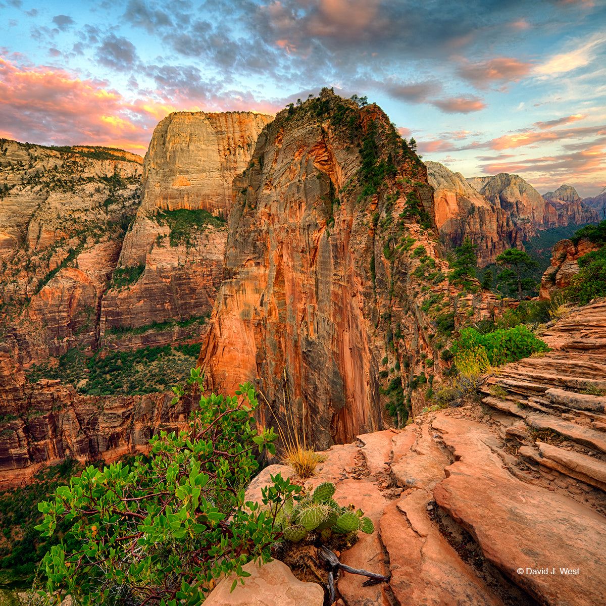 1200x1200 Imagine Angels Landing Square