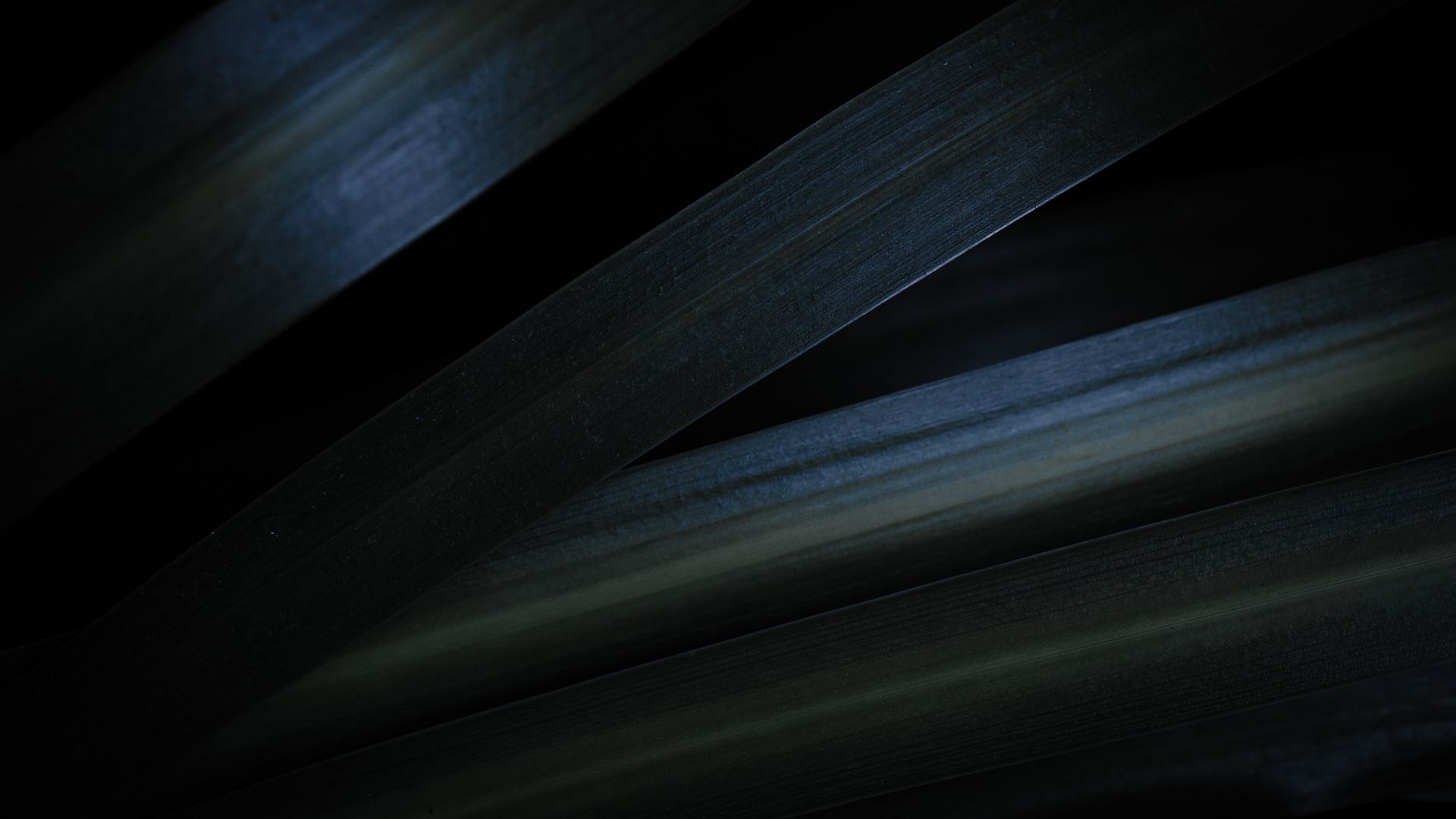 1920x1080 Grey Wallpaper 4K, Leaves, Dark aesthetic, Macro