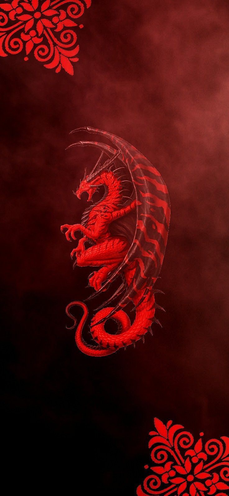736x1593 Dragon Poster Design. Crimson dragon wallpaper