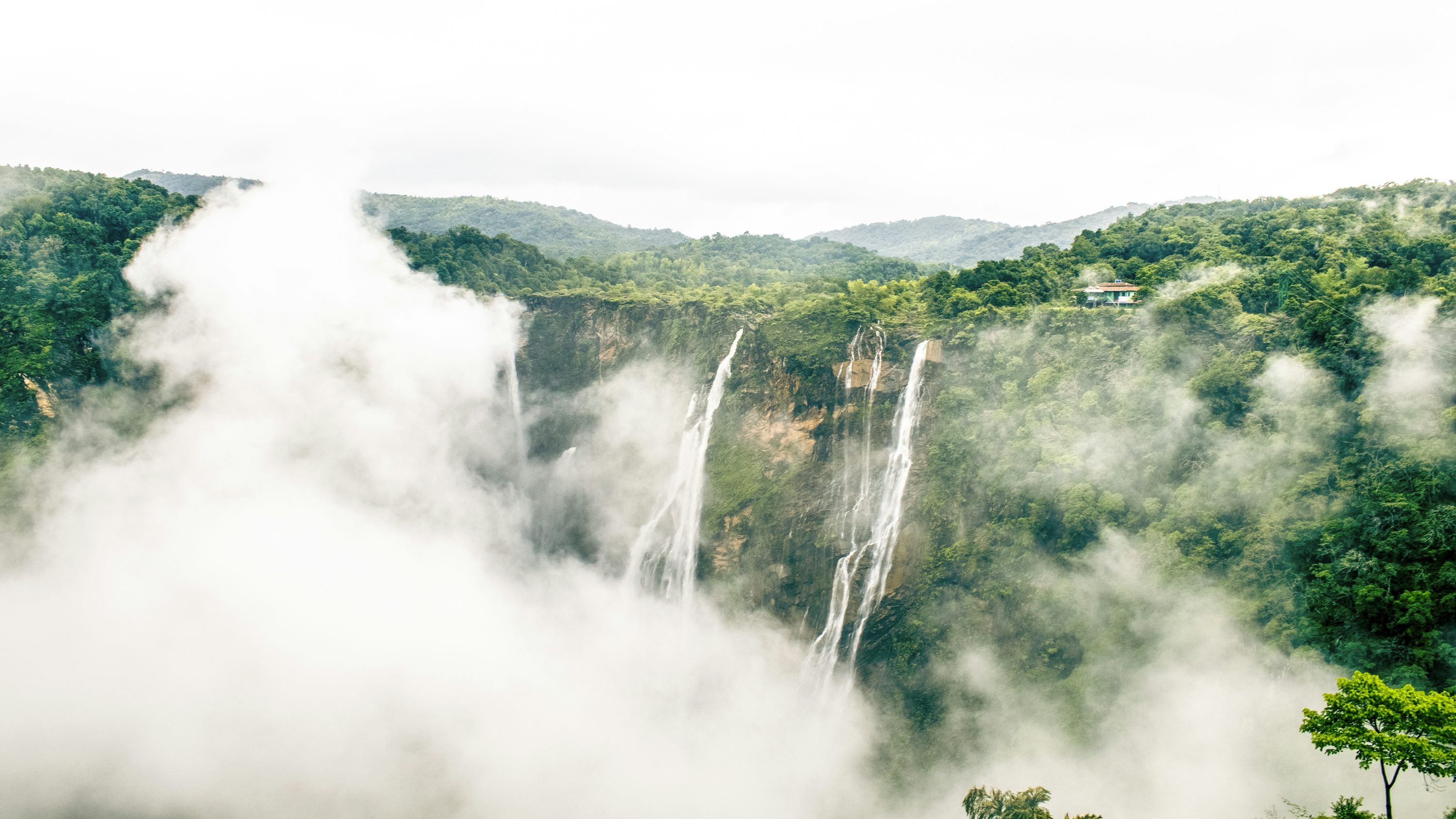 3000x1688 Jog Falls, India Picture. Download Free Image