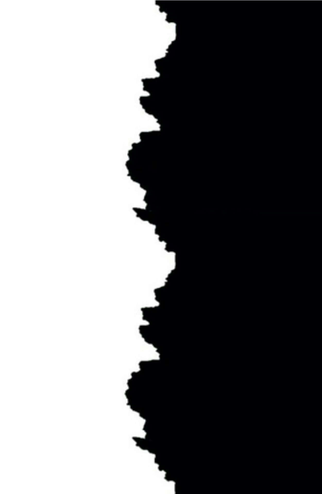 1250x1920 Download Striking Half Black and Half White Abstract Background Wallpaper