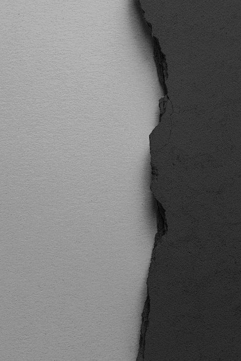 494x740 Half Black Half White Photo Free High Quality Picture