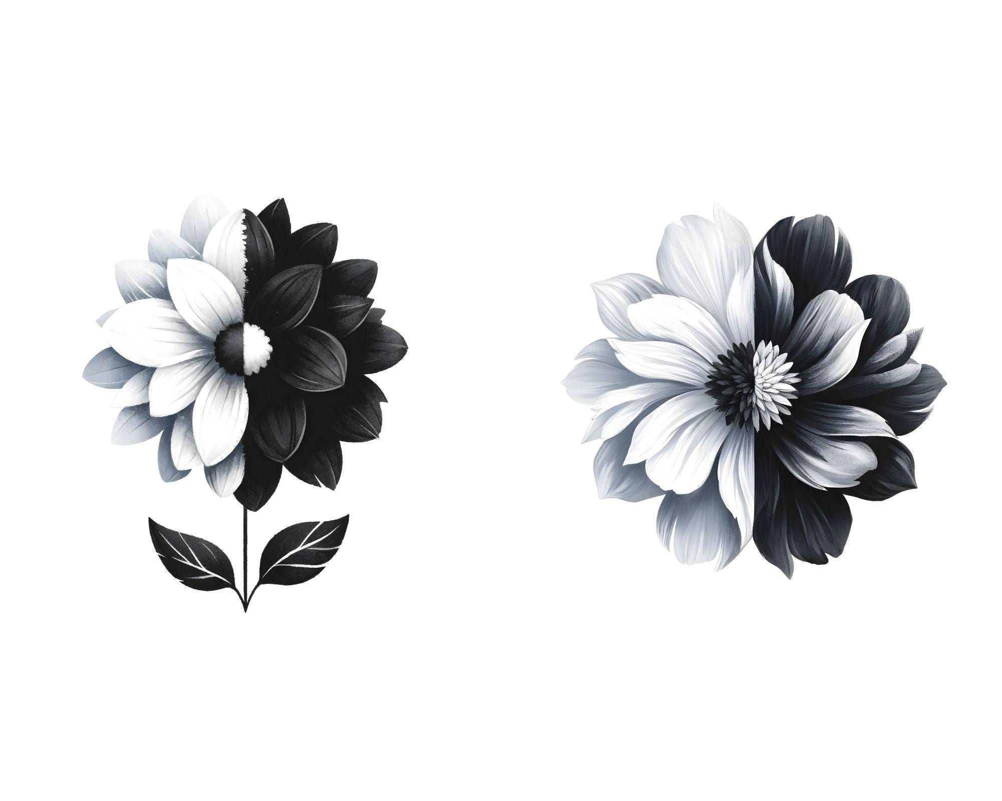 2000x1600 Monochrome Floral Clipart: Half Black Half White Watercolor Flowers (12 PNG Digital Art)