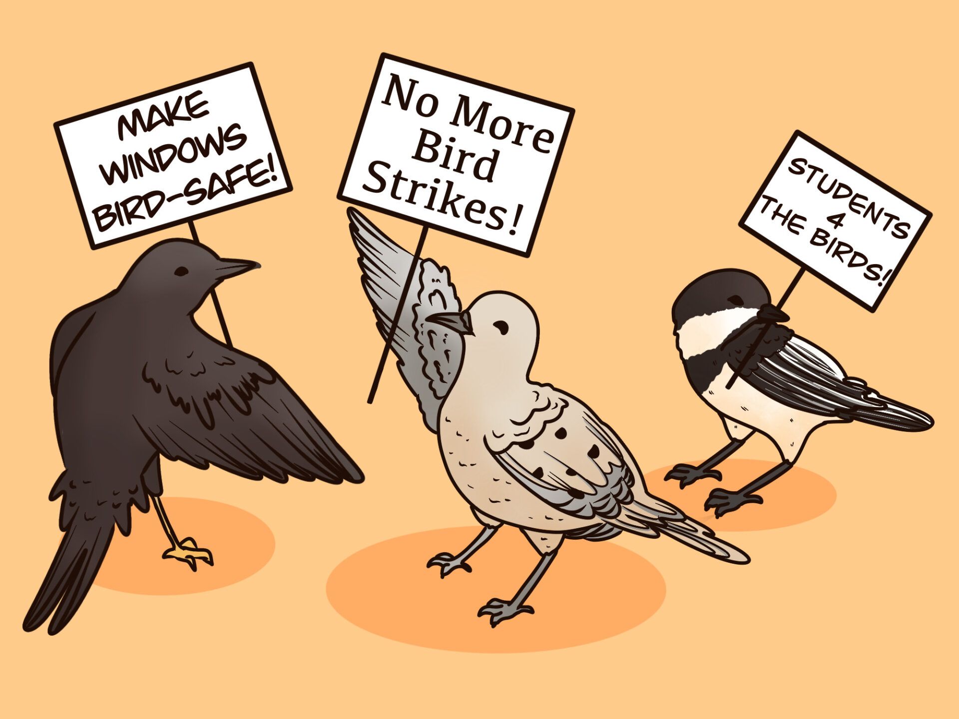 1920x1440 Boise State students turn art into action to prevent bird strikes on campus