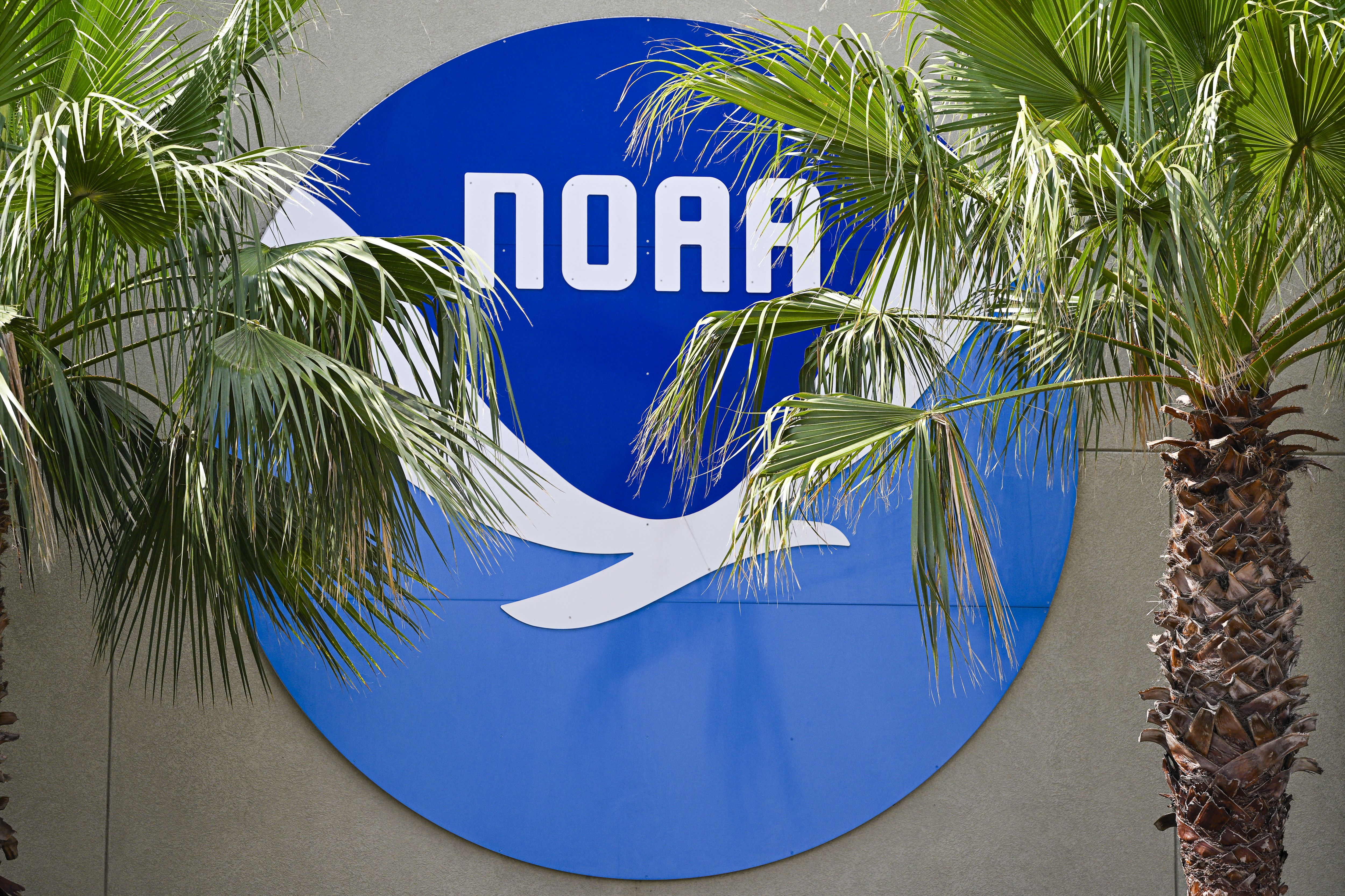 5000x3333 POLITICO Pro. Article. Green group creates new tool that maps all NOAA locations