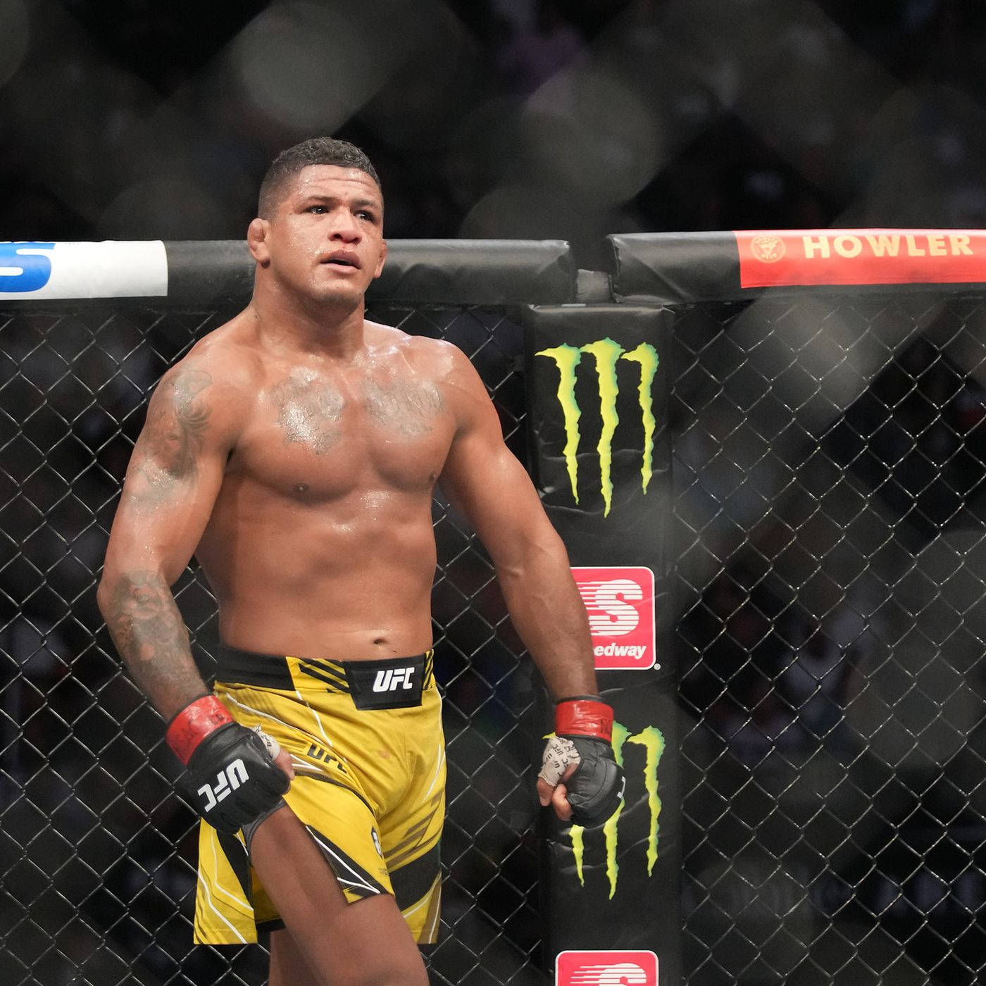 1400x1400 Download Gilbert Burns Wearing Yellow Fight Shorts Wallpaper