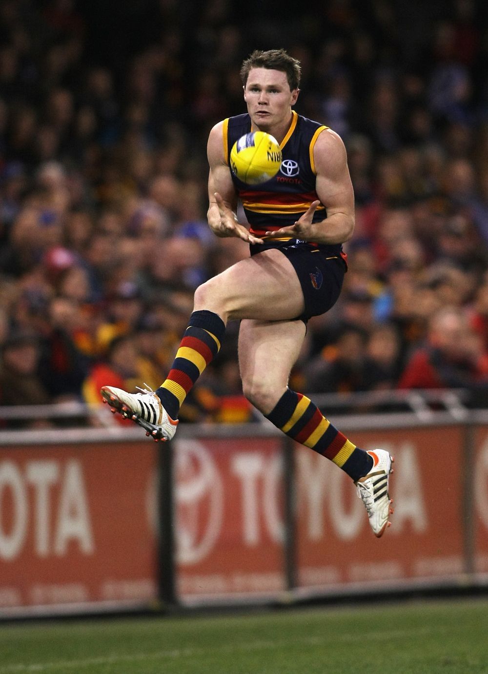 1000x1381 Adelaide Crows ideas. adelaide, crow, afl