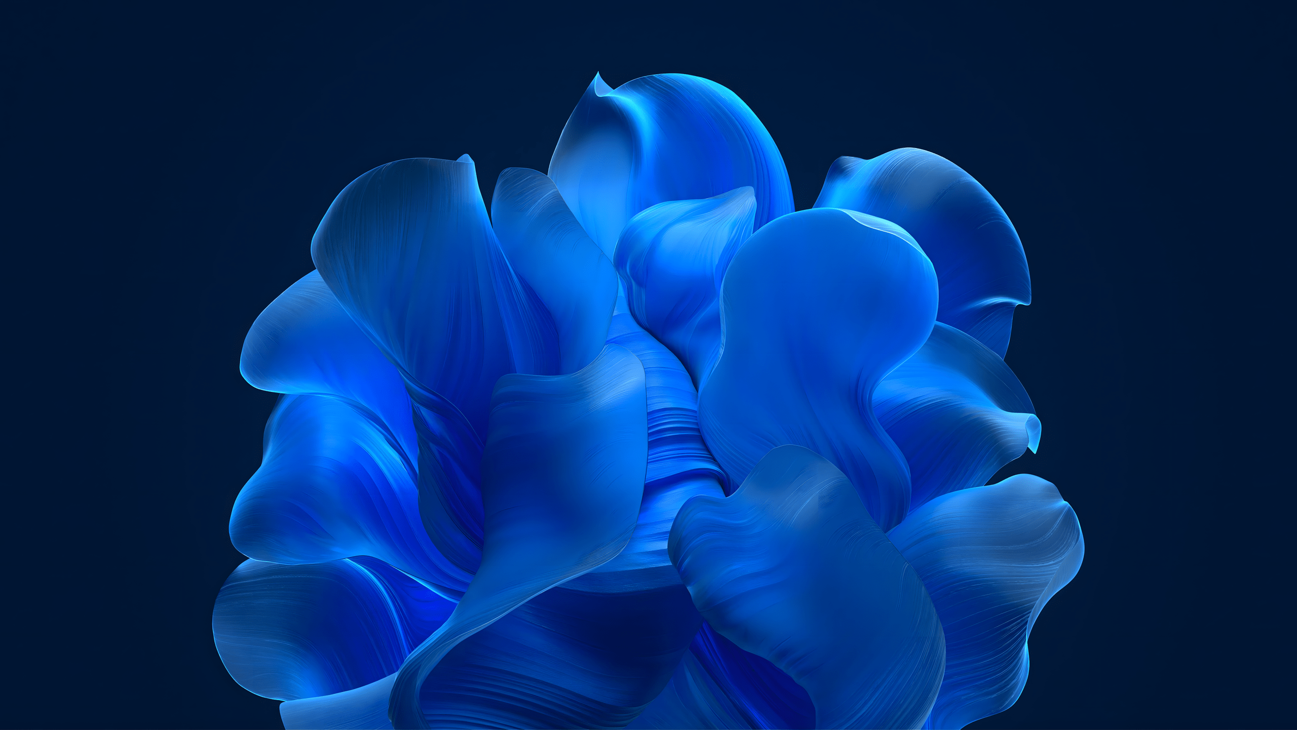 2560x1440 Check Out This Never Released Windows 11 Bloom Wallpaper