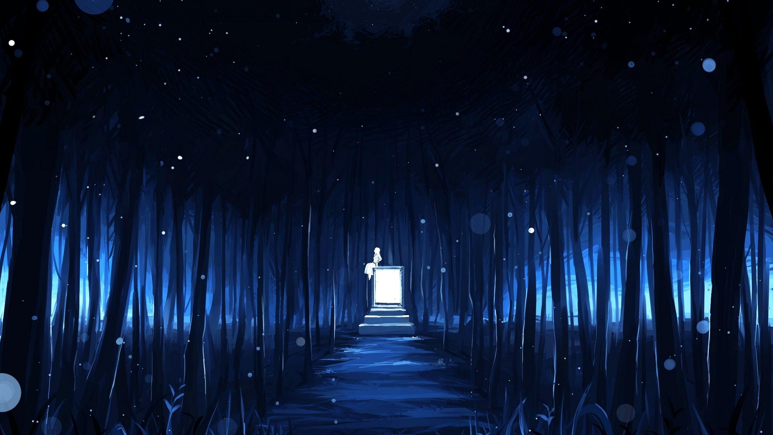 2560x1440 Dark Blue Moon Wallpaper