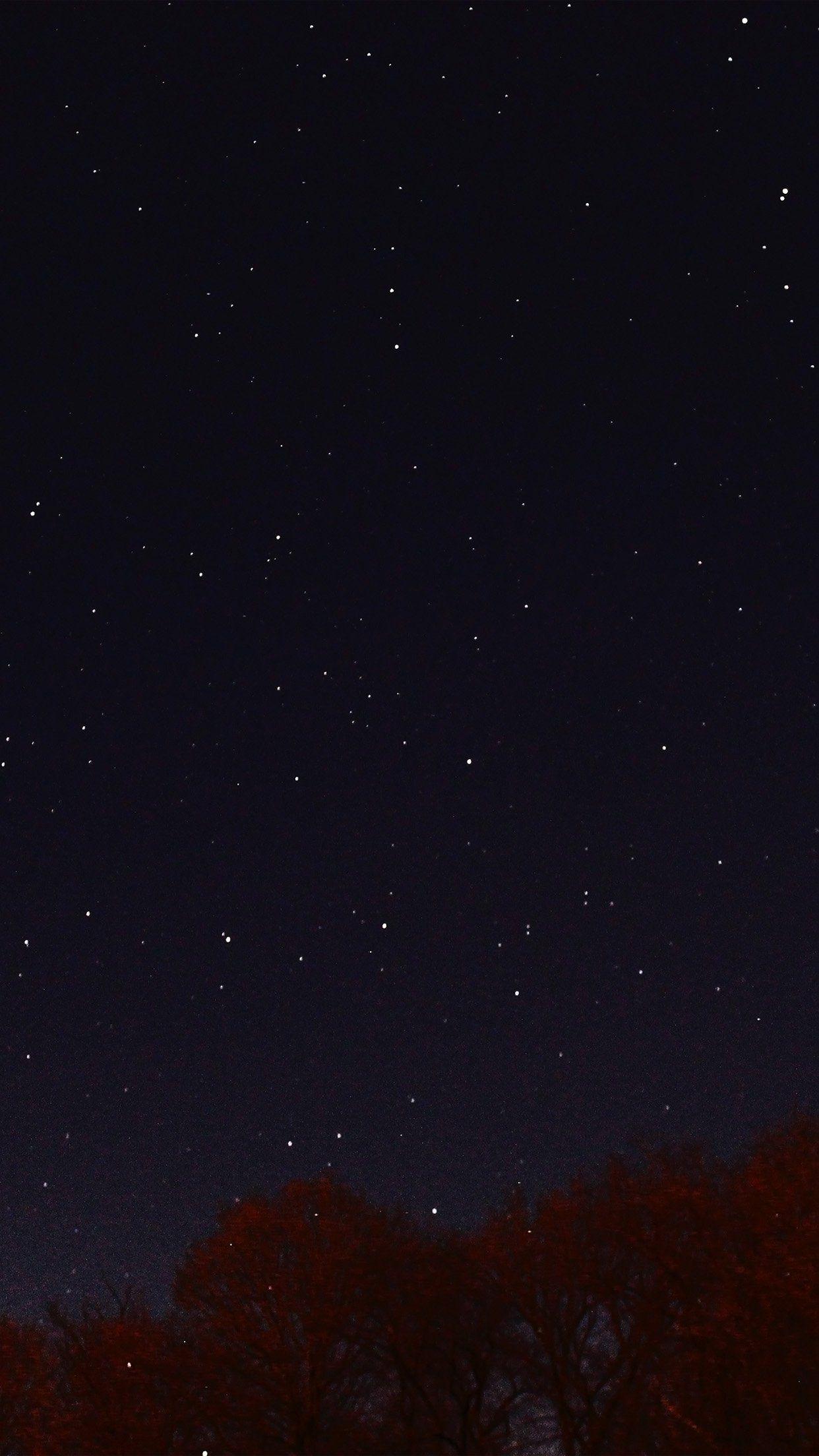 1242x2208 Night Sky Dark Star Lights Tree Nature iPhone 8 Wallpaper Free