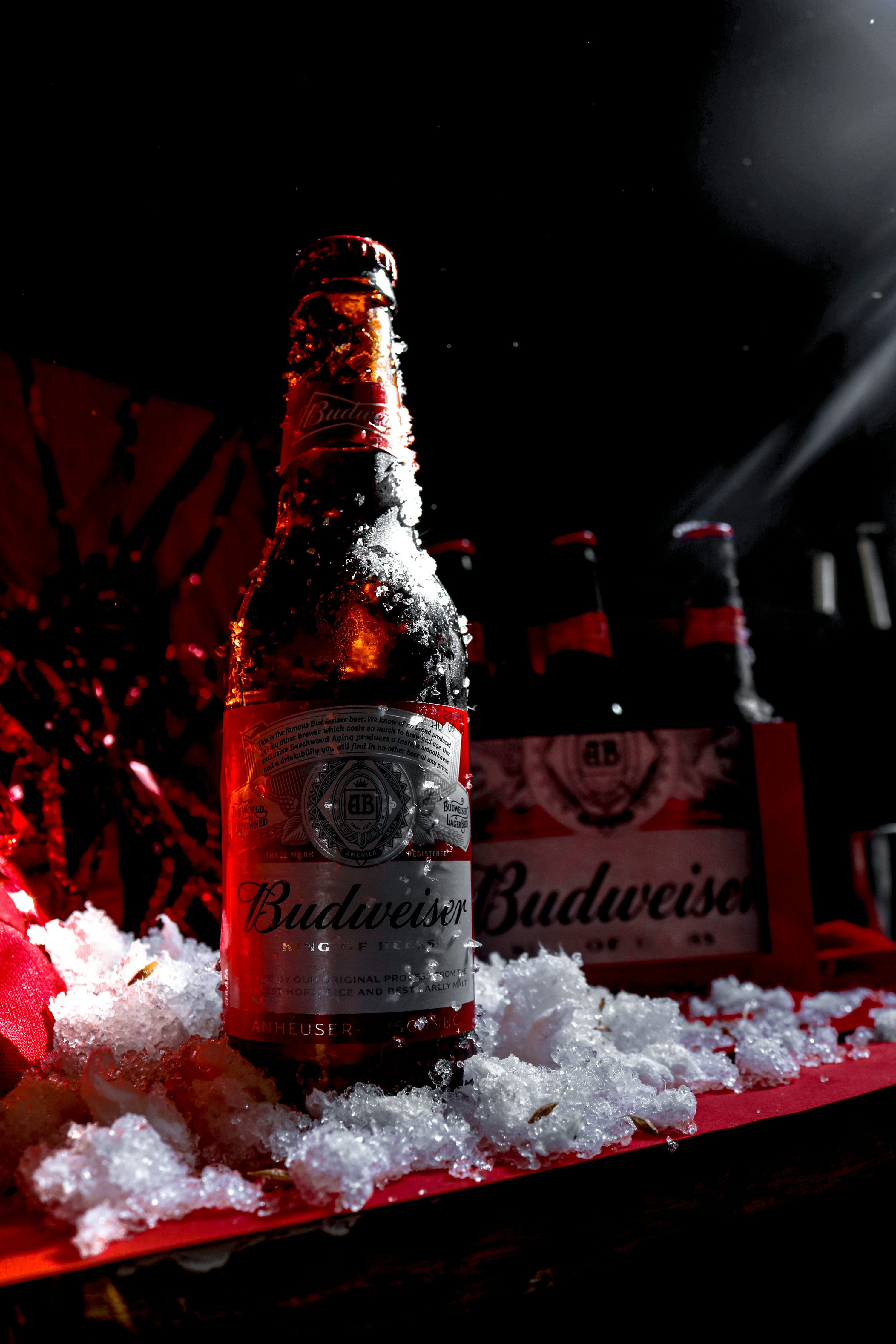 3000x4500 Budweiser Picture. Download Free Image