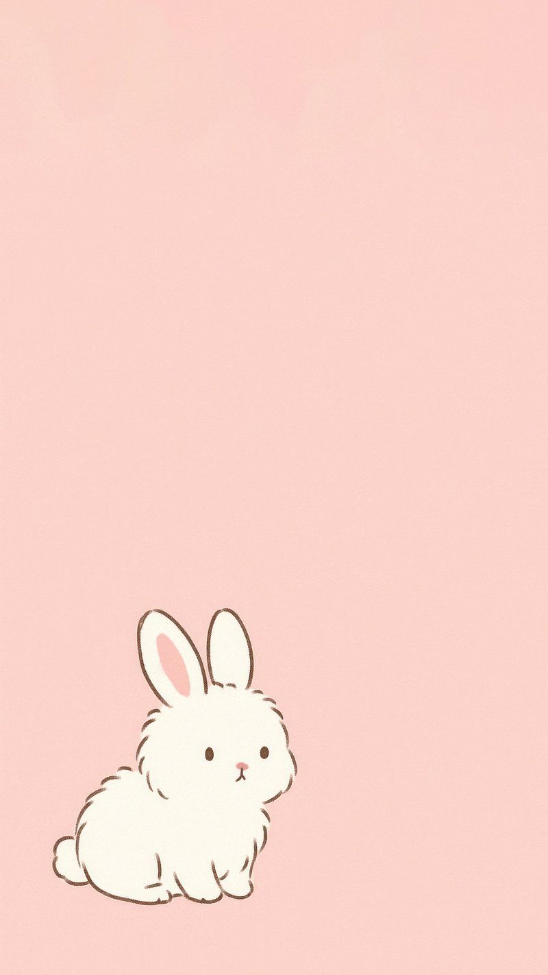 Pink Rabbit Jpeg Pink Rabbit Wallpapers - Top Free Pink Rabbit Backgrounds - WallpaperAccess