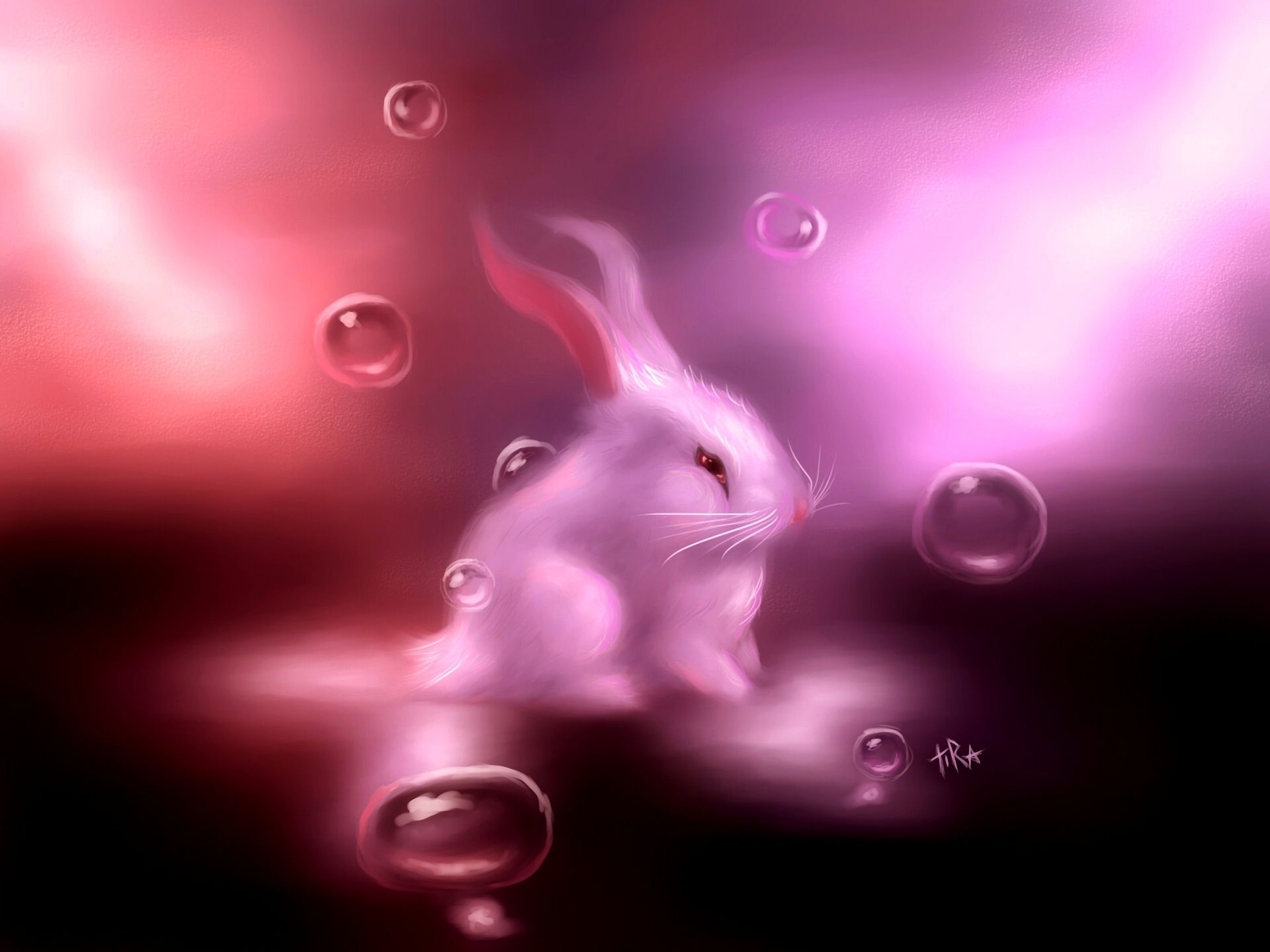 Pink Rabbit Wallpapers - Top Free Pink Rabbit Backgrounds - WallpaperAccess