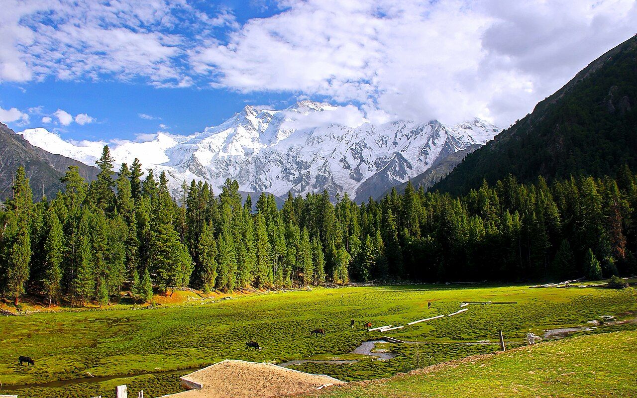 1280x800 Fairy Meadows