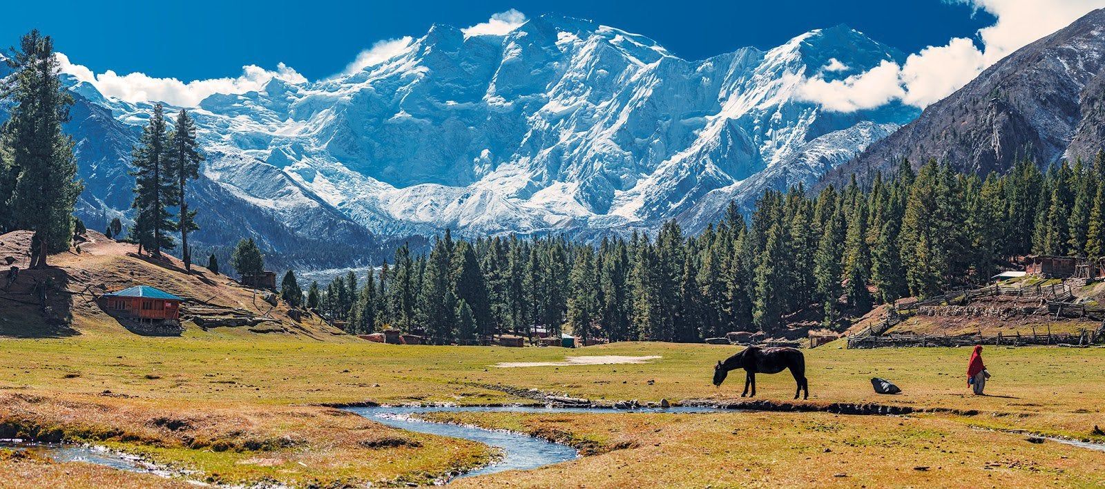 1600x708 Fairy Meadows