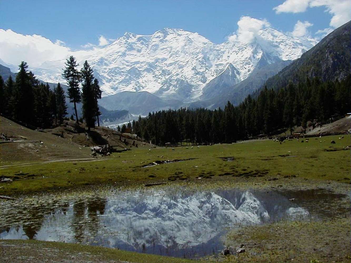 1333x1000 Nanga Parbat as seen from Fairy Meadows : Photo, Diagrams & Topos
