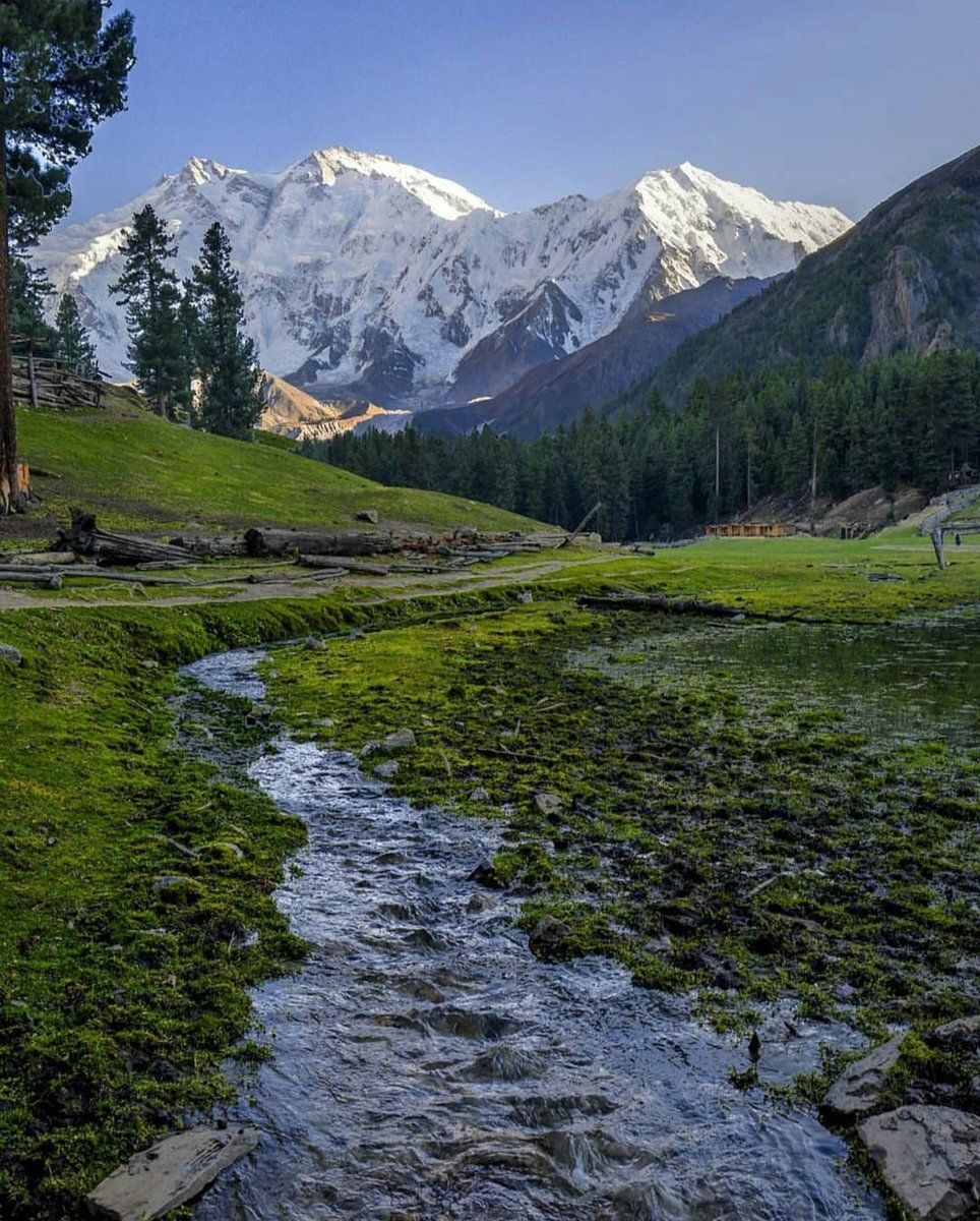 964x1200 ExplorePakistan Fairy Meadows: Nanga Parbat. Jewel of Himalayas, the mighty Killer Mountain, veiled in white. Whay a sight!!! #nangaparbat #Himalayas #Pakistan #BeautifulPakistan #travel #tourism #mountain