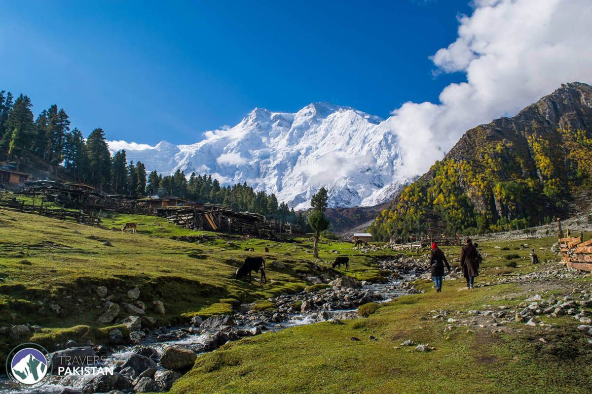 1200x800 Trip to Fairy Meadows & Nanga Parbat Basecamp