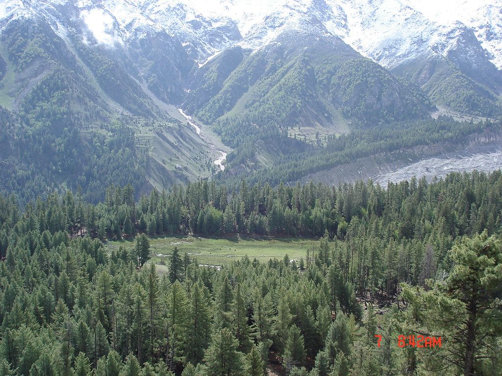 1024x768 Fairy Meadows. Fairy Meadows, so named because of local