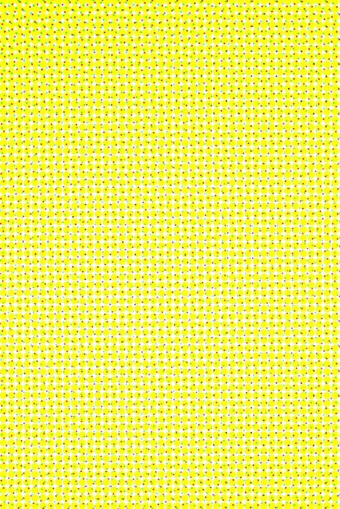494x740 Dot grid paper Image