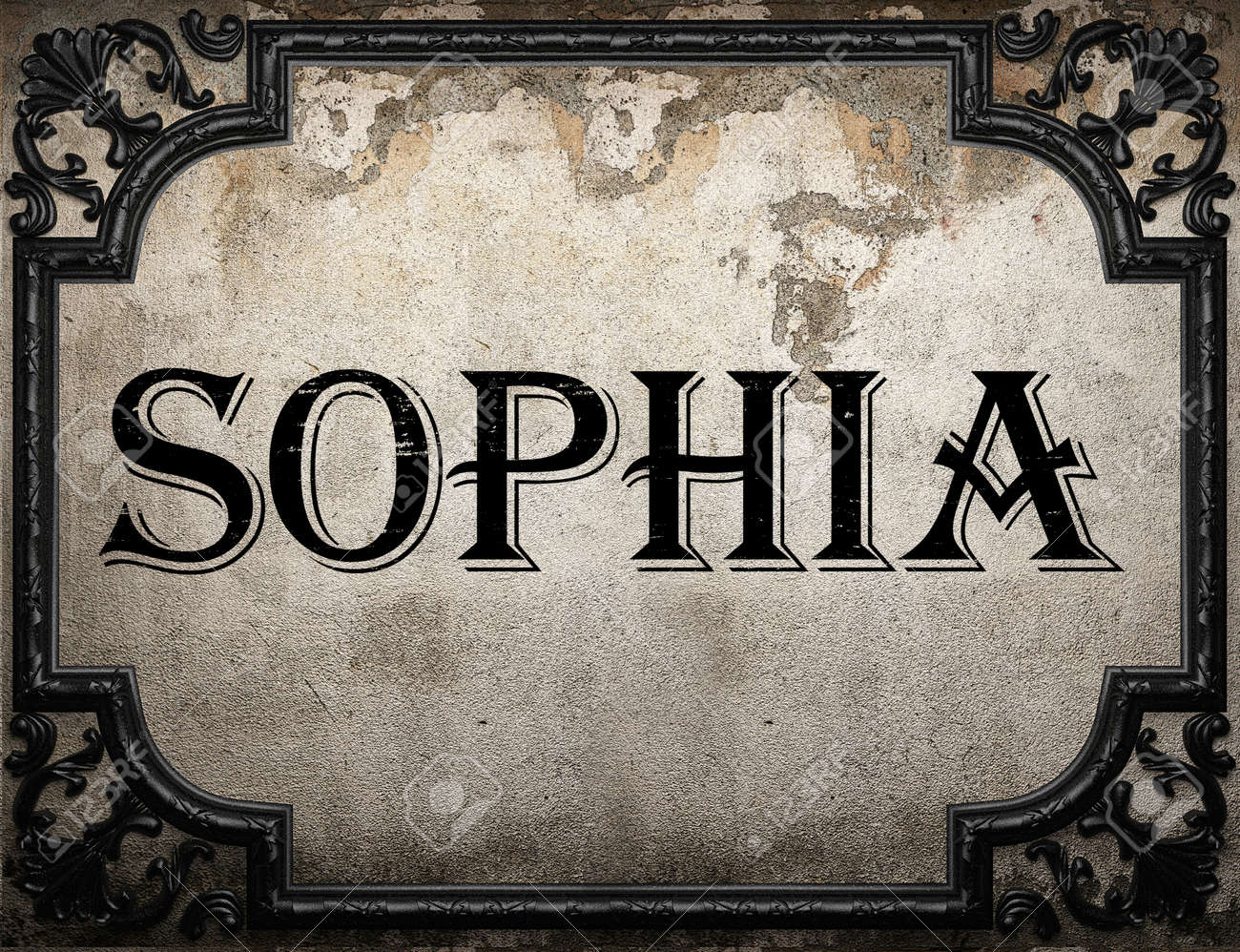 1300x998 Sophia Word On Concrette Wall , Picture and Royalty Free Image. Image 51609081