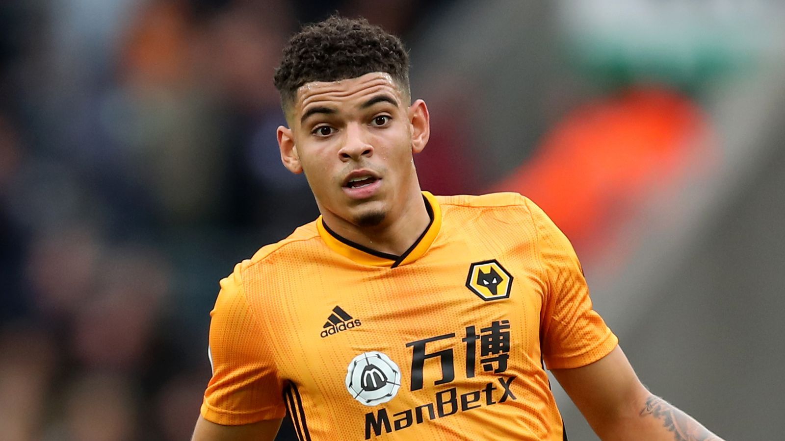 1600x900 Wolves Treating Morgan Gibbs White Lockdown Breach Internally