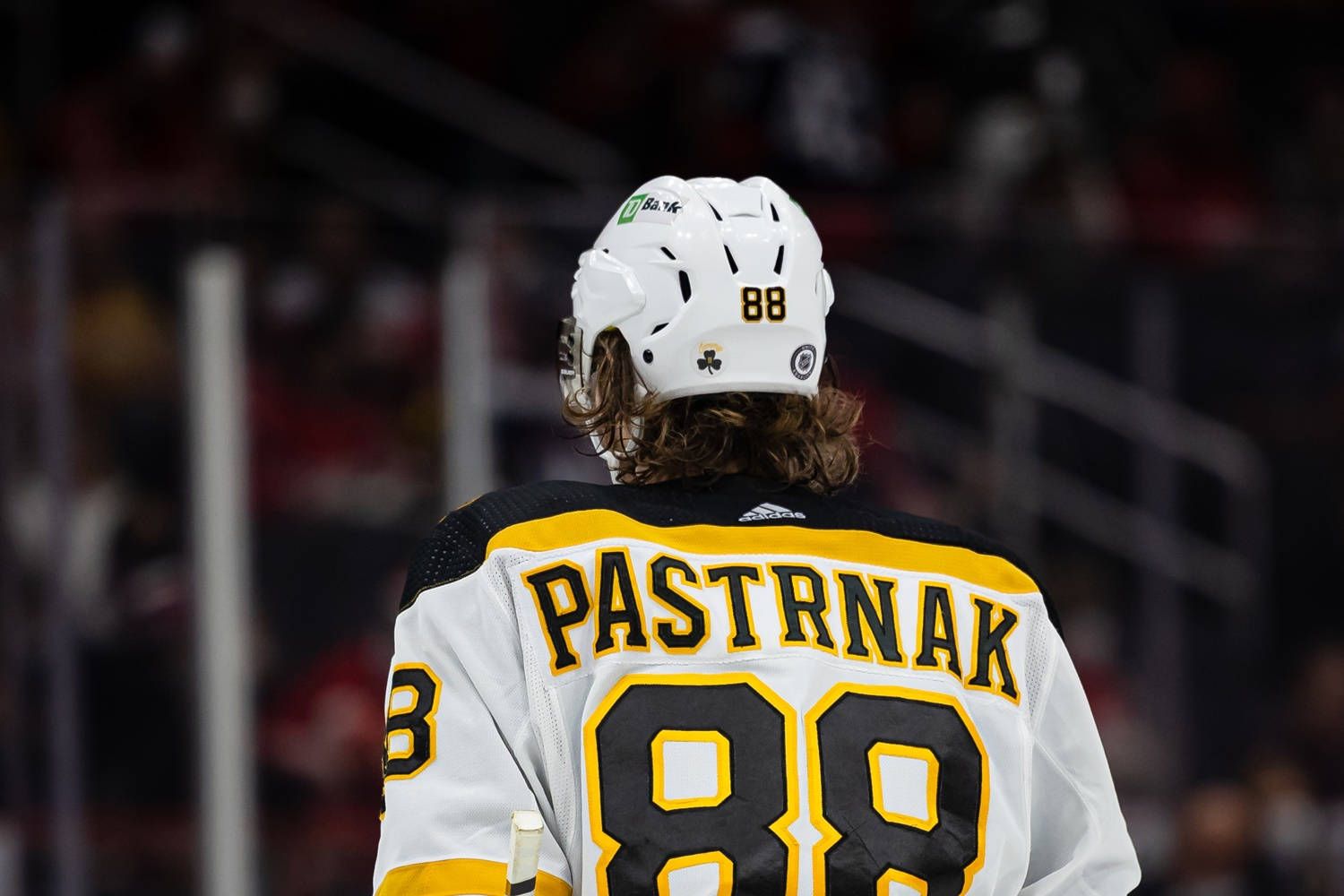 1500x1000 Download David Pastrnak Hockey Jersey Back View Wallpaper