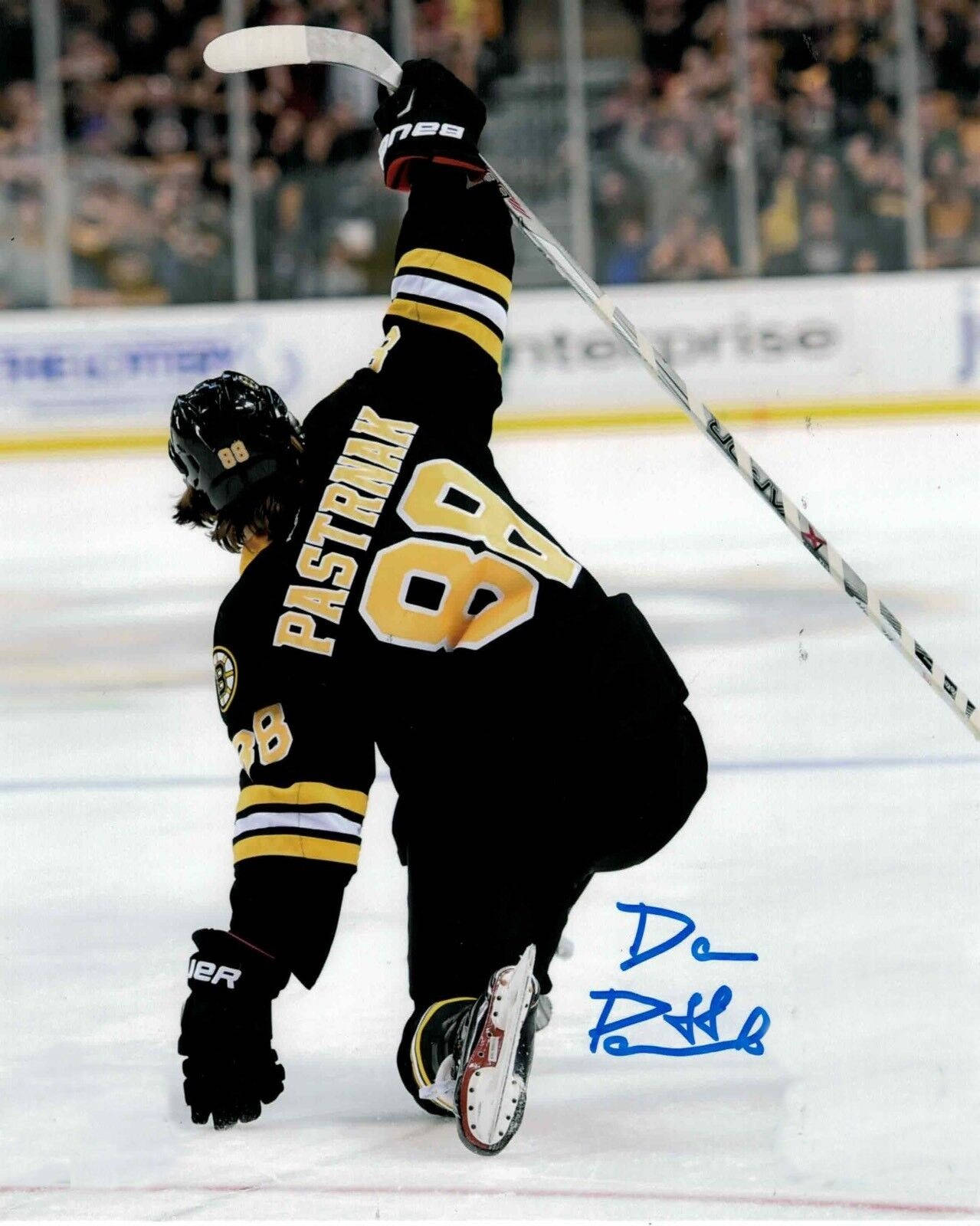 1279x1600 Download David Pastrnak Ice Hockey Arena Signed Autograph Wallpaper