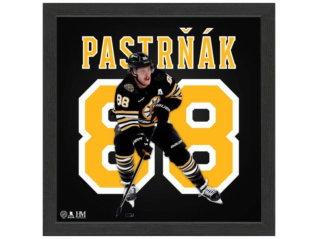 1024x768 Obraz Highland Mint NHL David Pastrňák NHL.cz