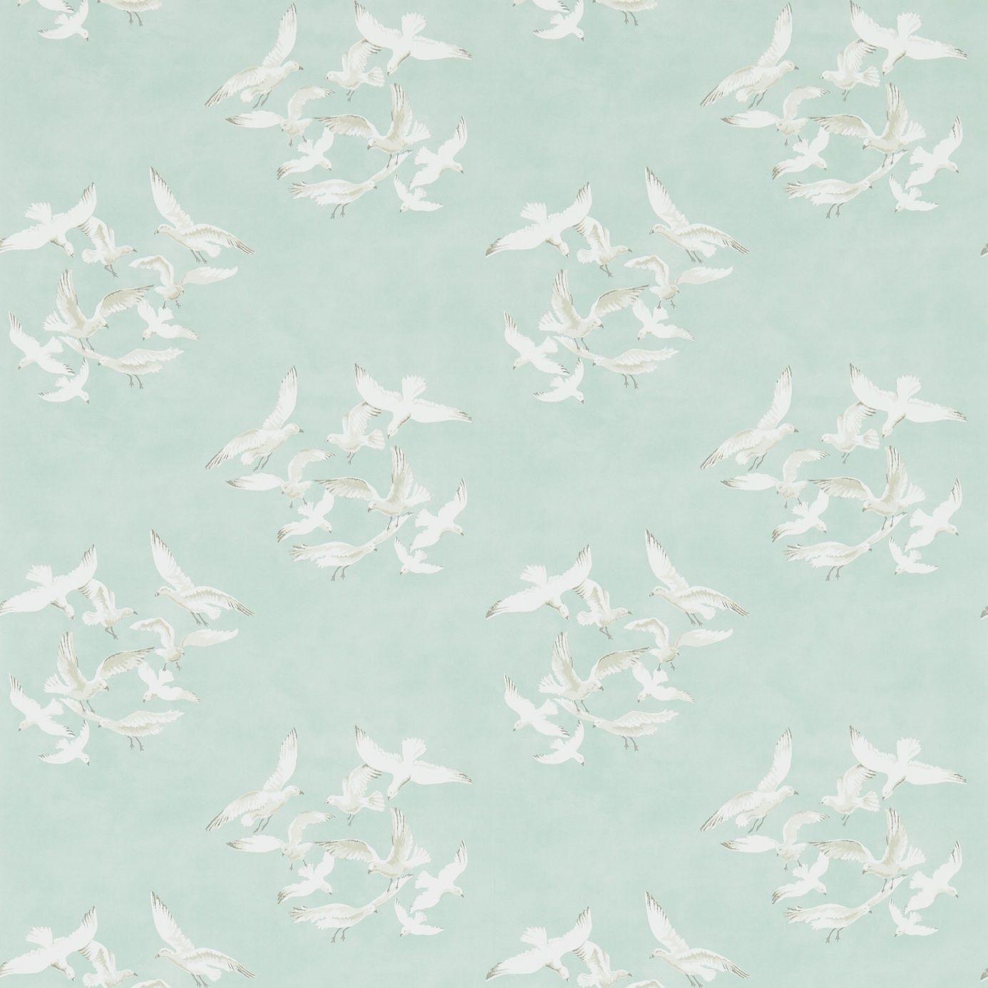 Seagull Wallpapers - Top Free Seagull Backgrounds - WallpaperAccess