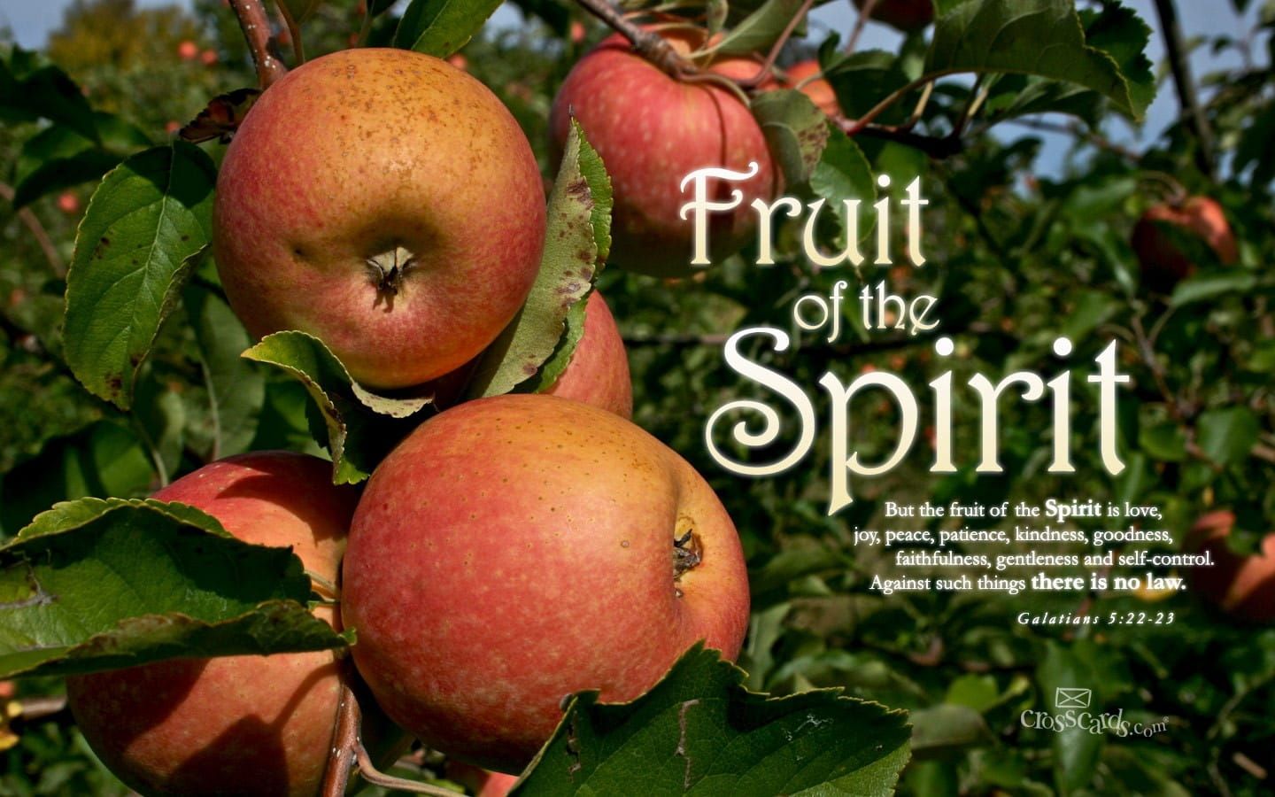 1440x900 Fruit of the Spirit Verses and Scripture Wallpaper for Phone or Computer
